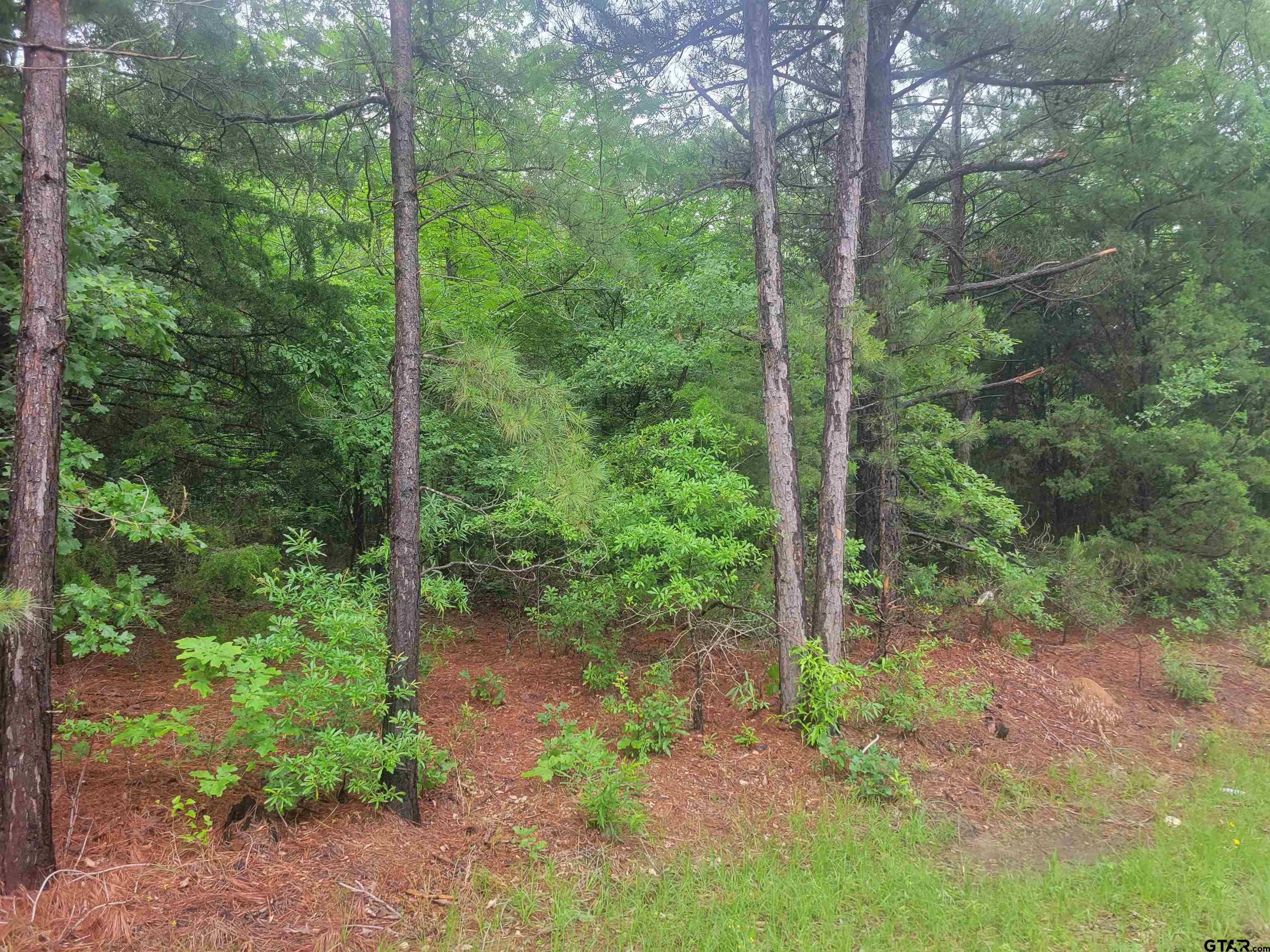 TBD Chas Loop, Kilgore, Texas 75662, ,Residential,For Sale,Chas Loop,23006005