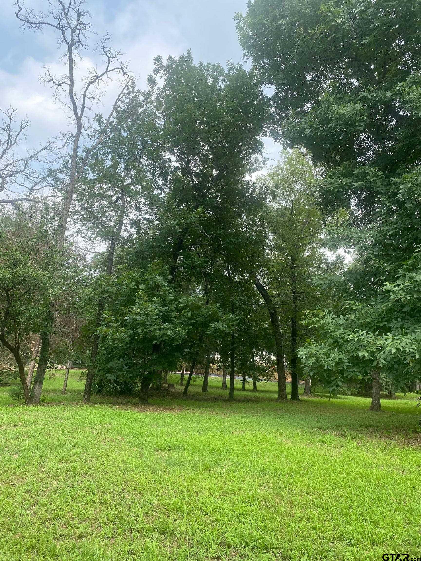 2634 Blancas Dr, Tyler, Texas image 2