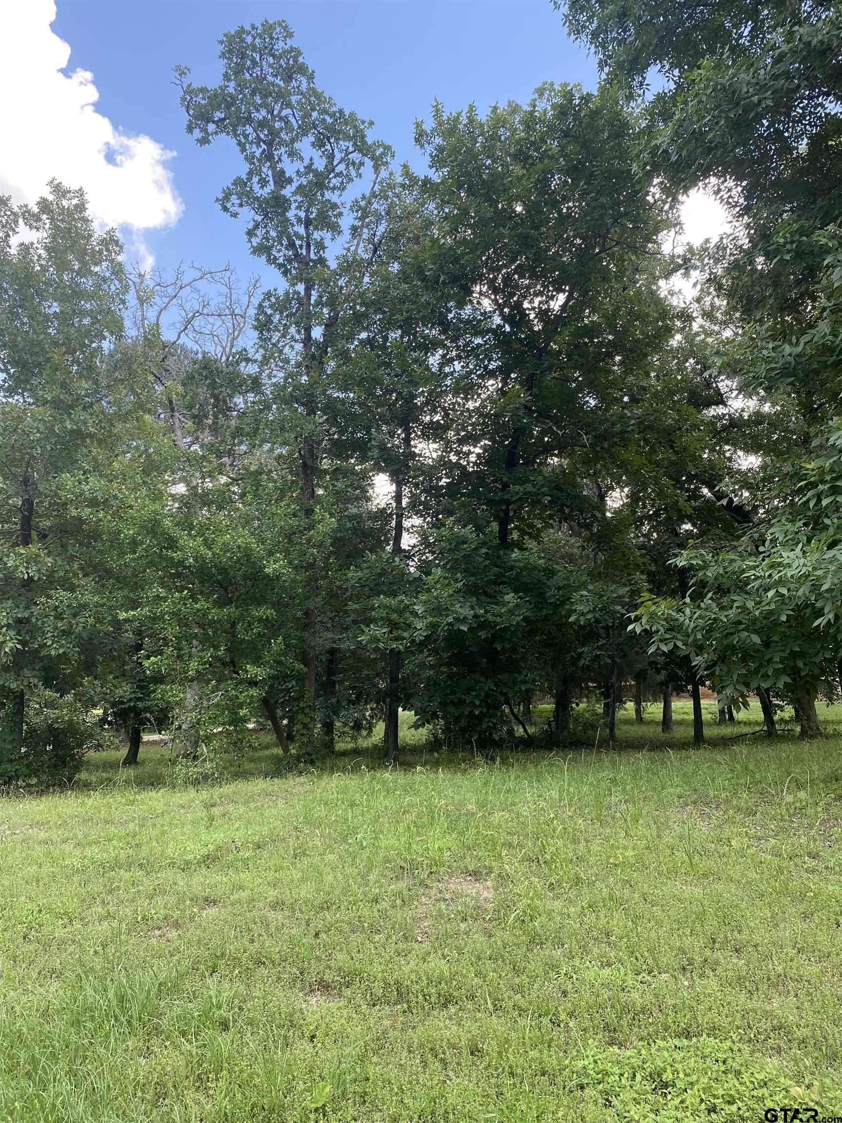 2634 Blancas Dr, Tyler, Texas image 12