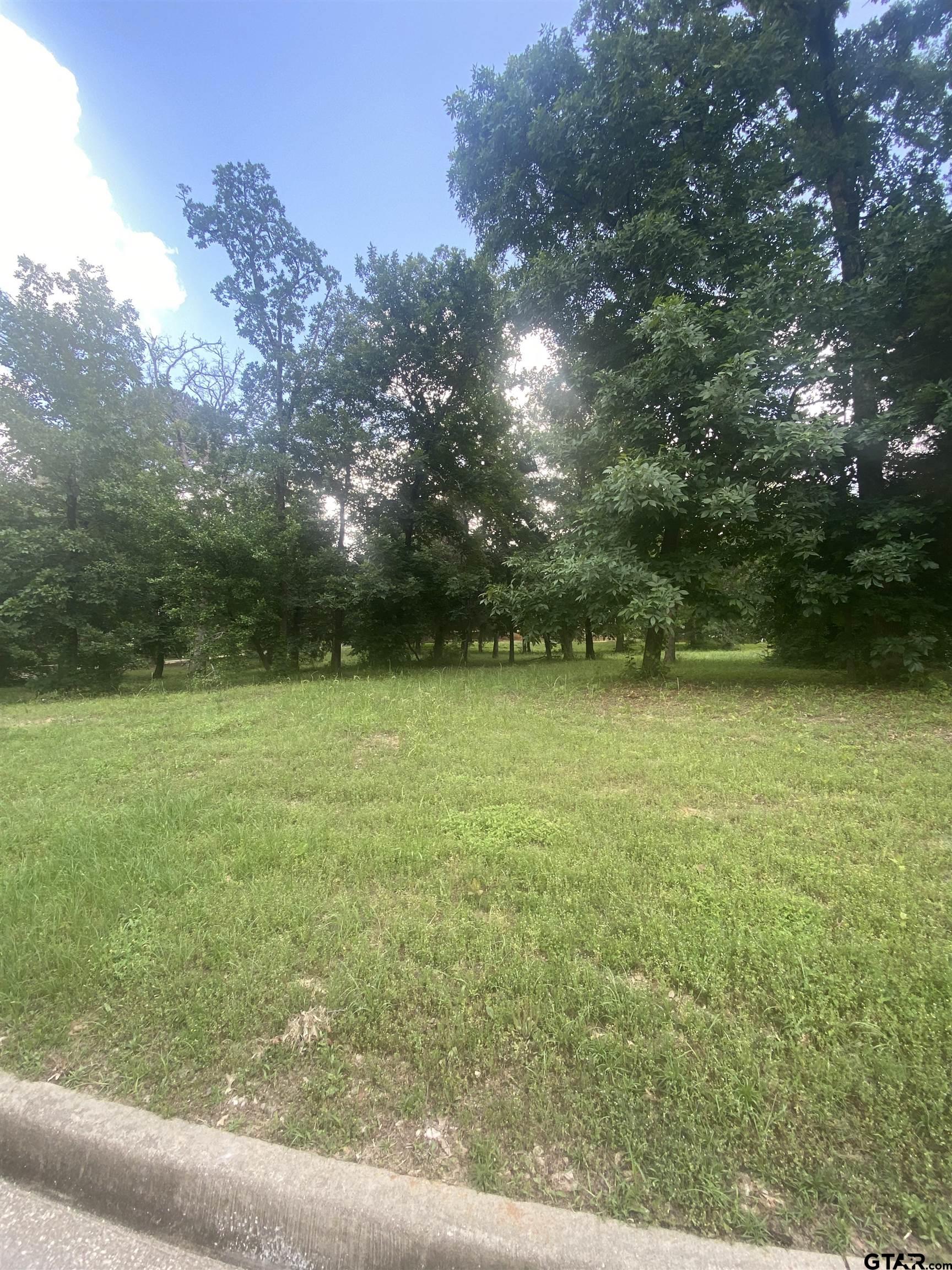 2634 Blancas Dr, Tyler, Texas image 14