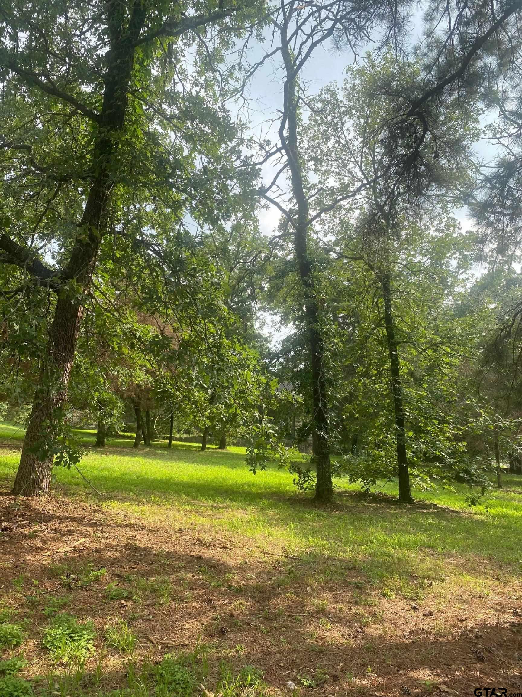 2634 Blancas Dr, Tyler, Texas image 5
