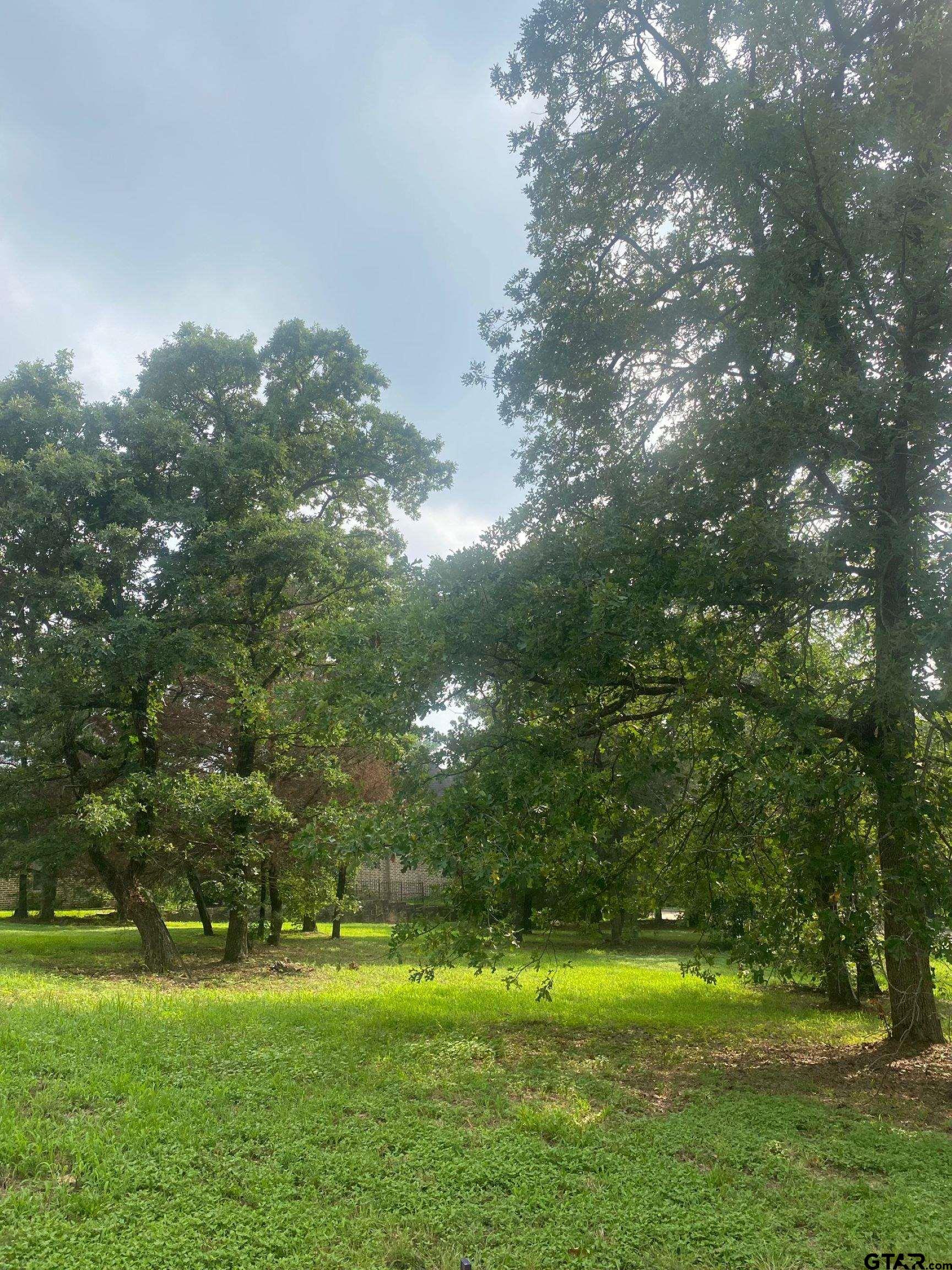 2634 Blancas Dr, Tyler, Texas image 6