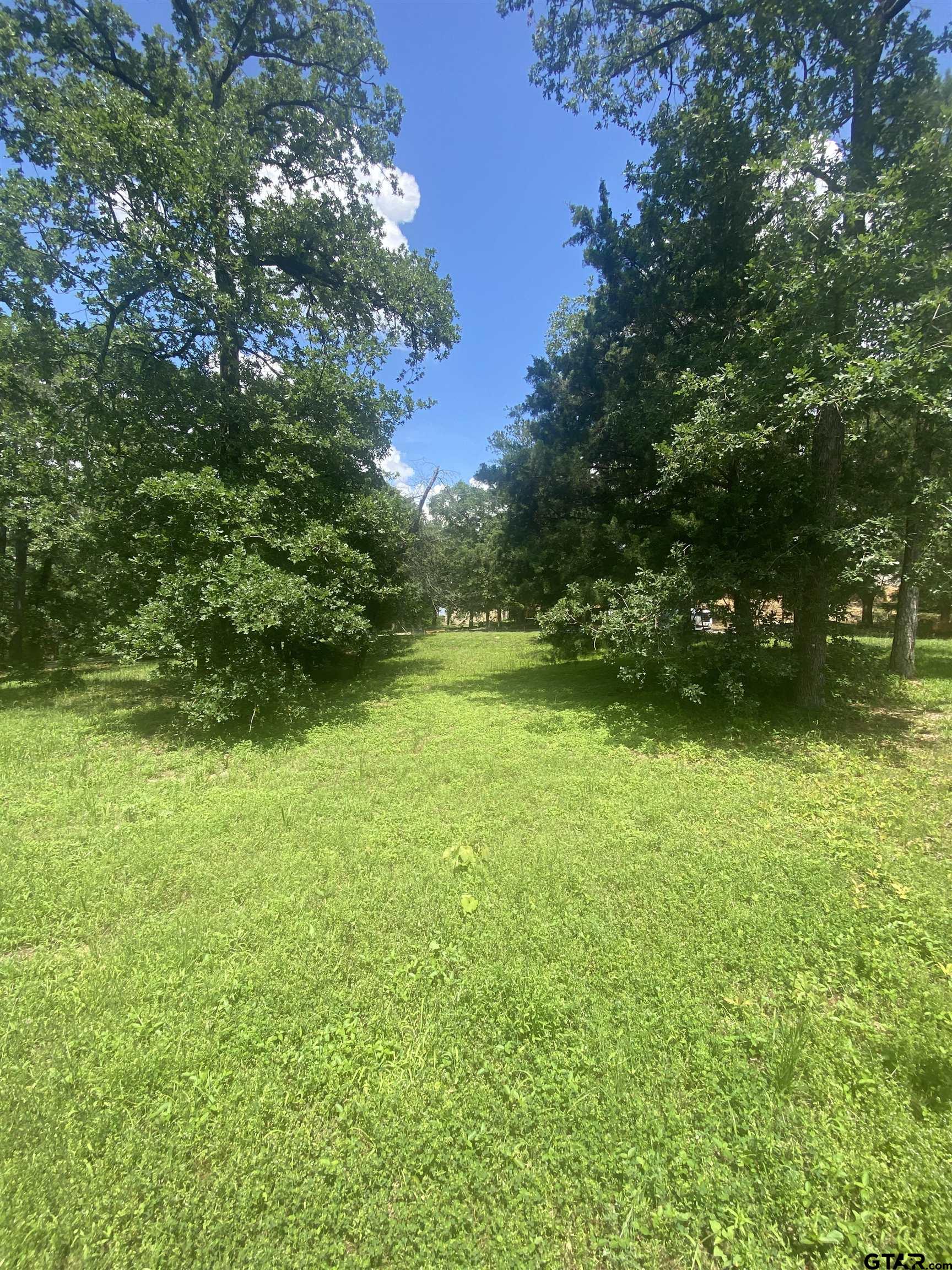 2634 Blancas Dr, Tyler, Texas image 7