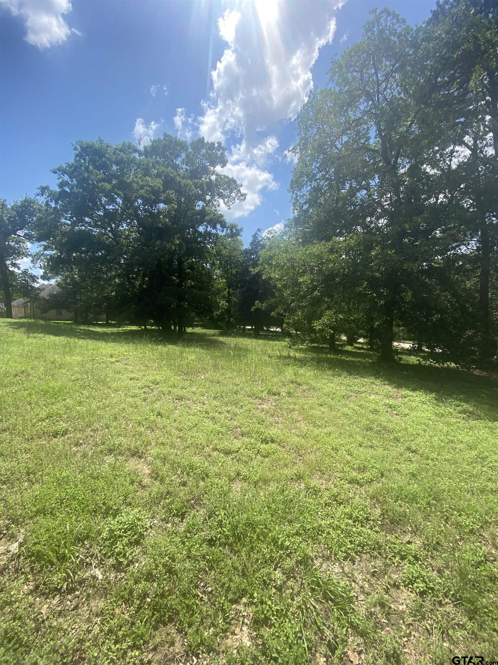 2634 Blancas Dr, Tyler, Texas image 9