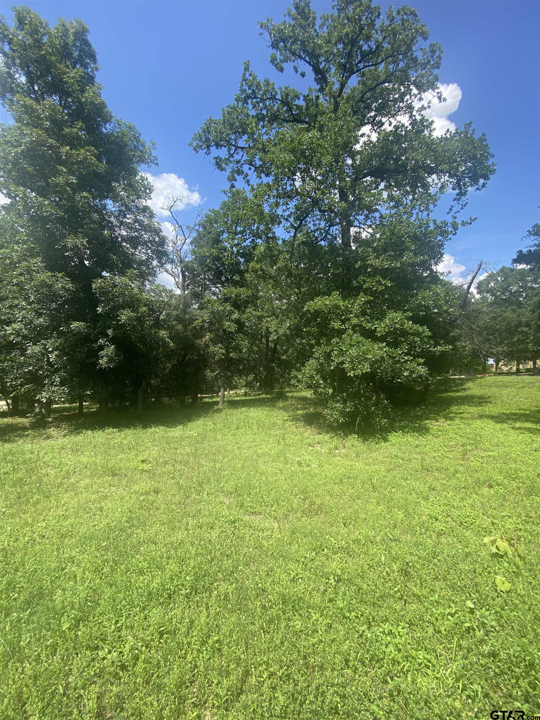 2634 Blancas Dr, Tyler, Texas image 10