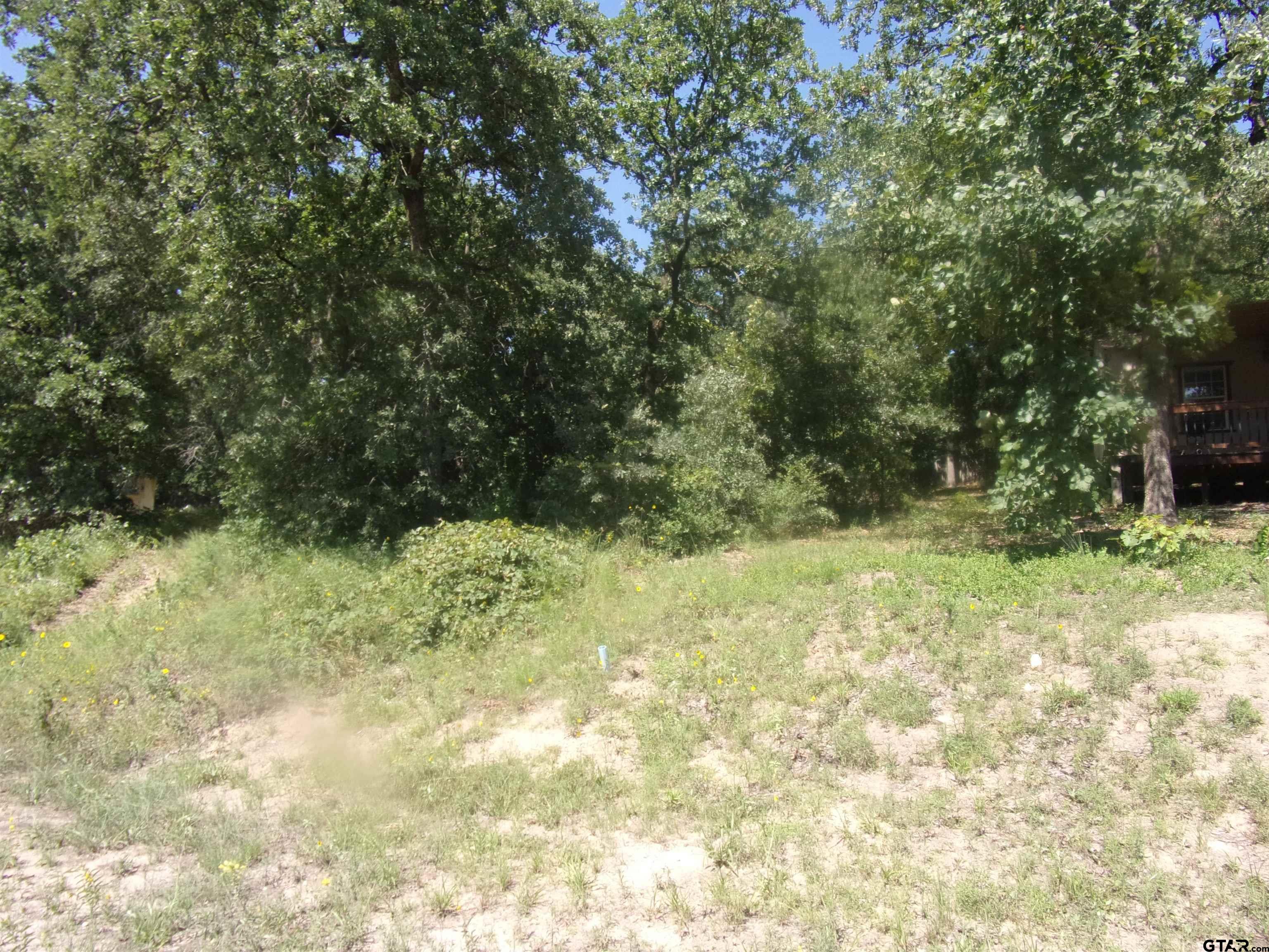 000 Hickory Hills Drive, Murchison, Texas image 2