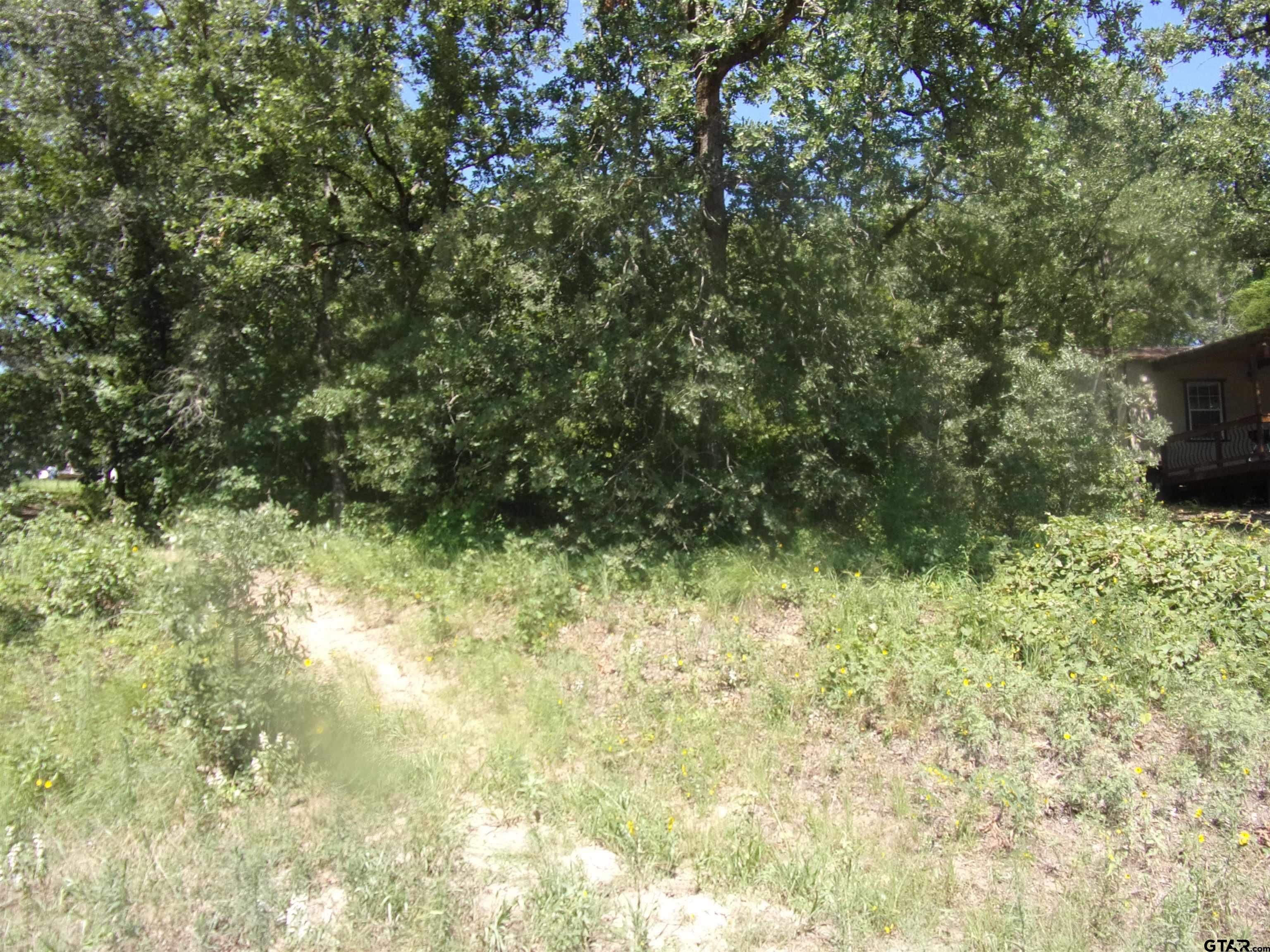 000 Hickory Hills Drive, Murchison, Texas image 3