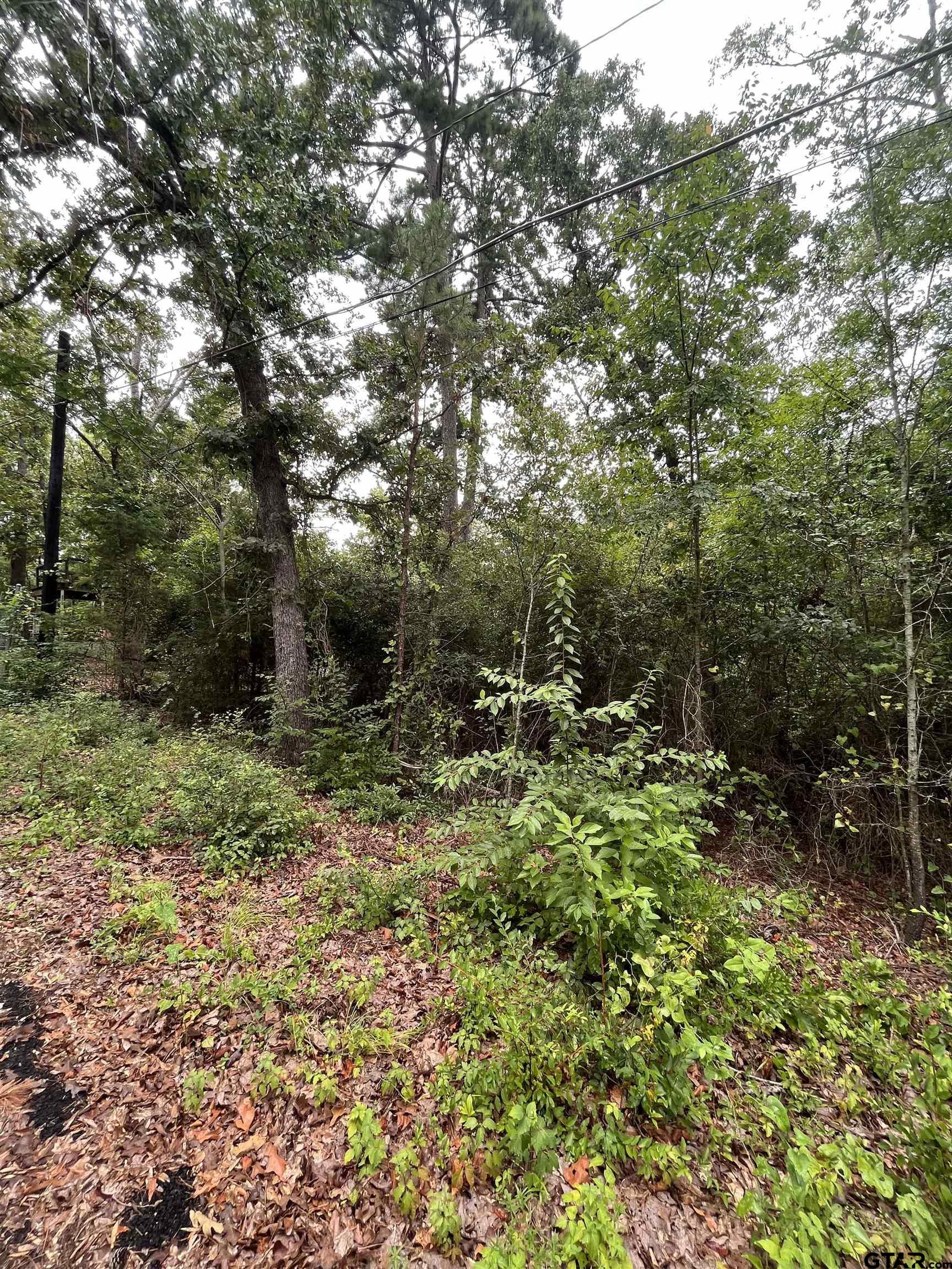 TBD Valley View Dr, Frankston, Texas 75763, ,Residential,For Sale,Valley View Dr,23009254