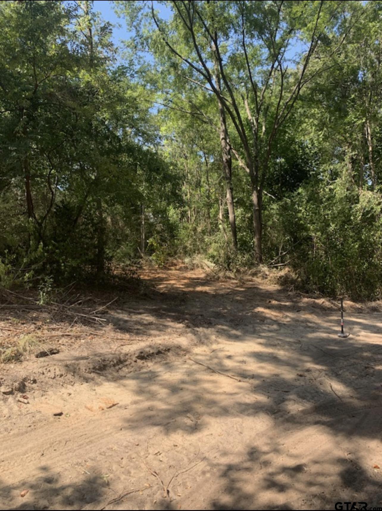 TBD Lot 3 Beverly, Overton, Texas 75684, ,Residential,For Sale,Lot 3 Beverly,23009269