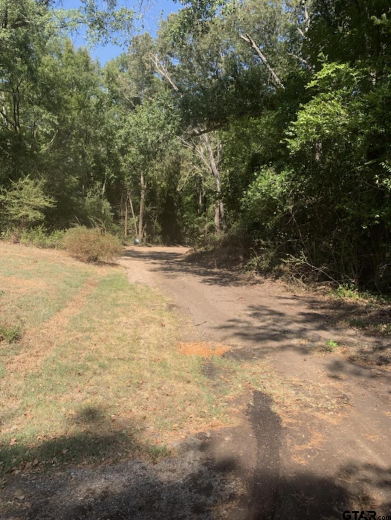 TBD Lot 4 Beverly, Overton, Texas image 11