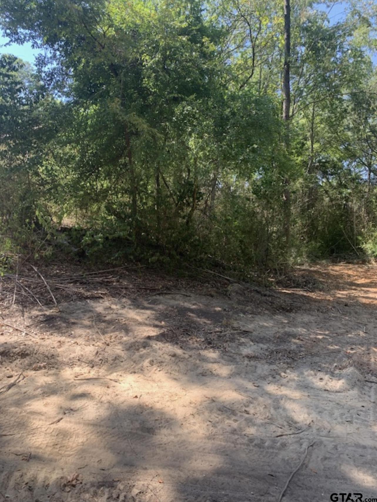 TBD Lot 4 Beverly, Overton, Texas image 6