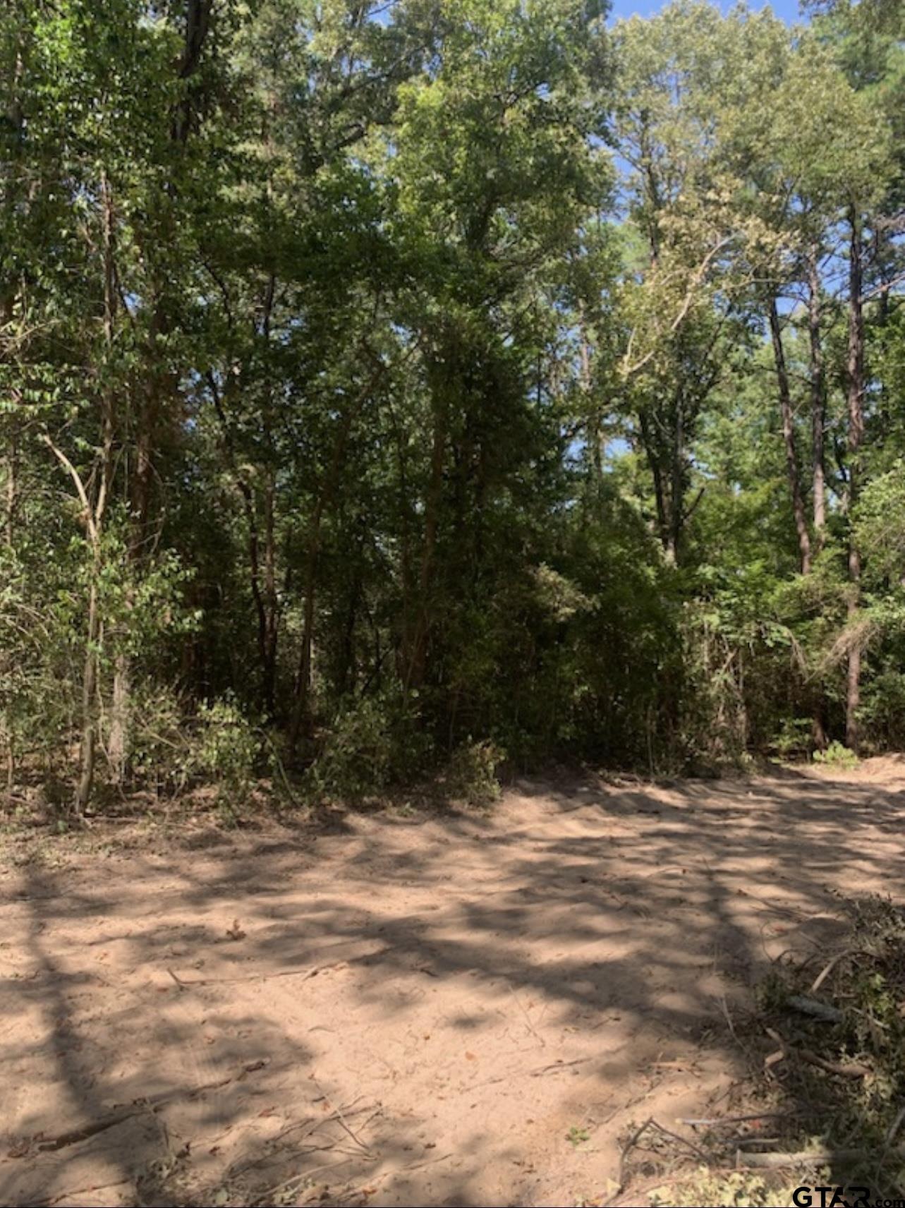 TBD Lot 4 Beverly, Overton, Texas image 7