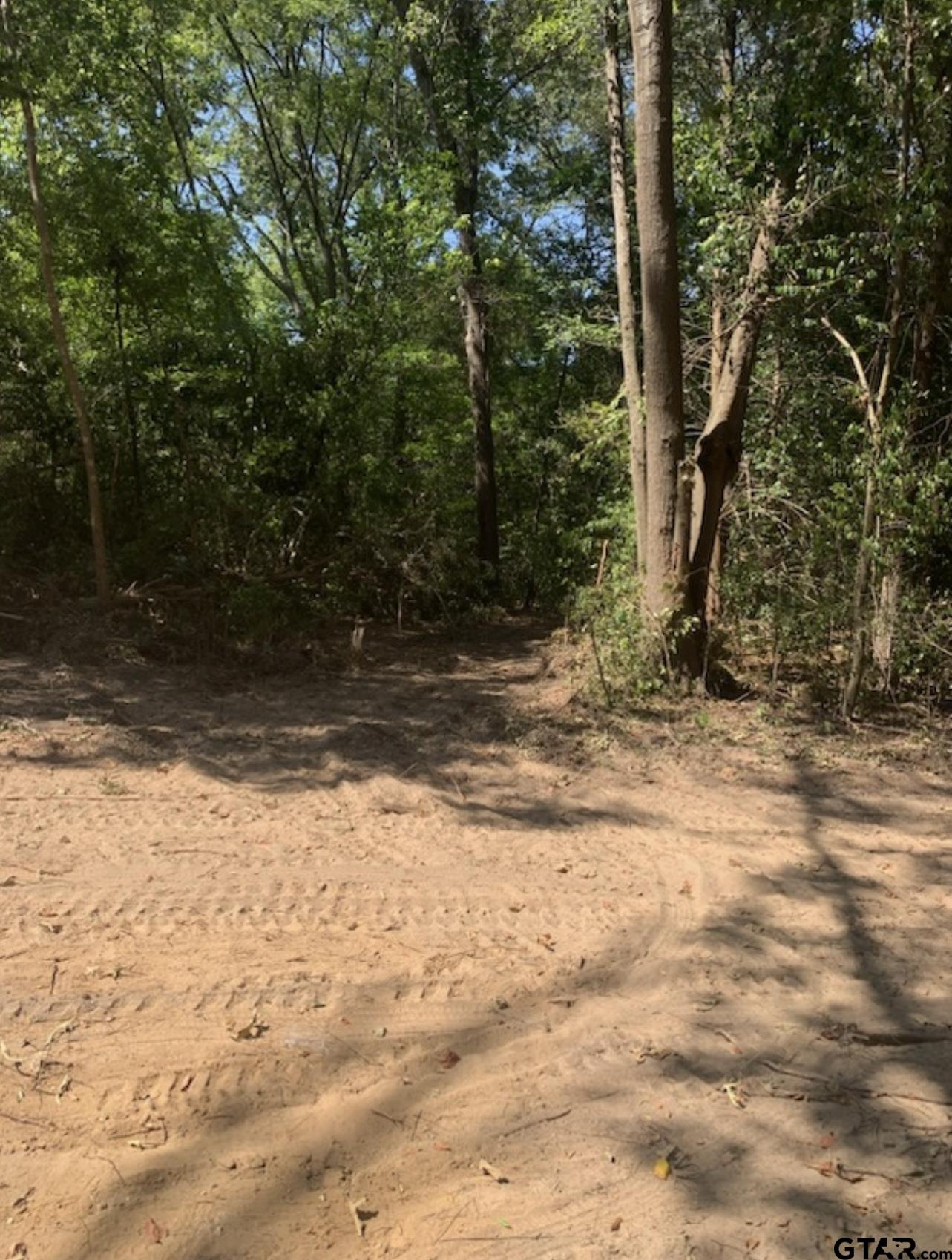 TBD Lot 4 Beverly, Overton, Texas image 8