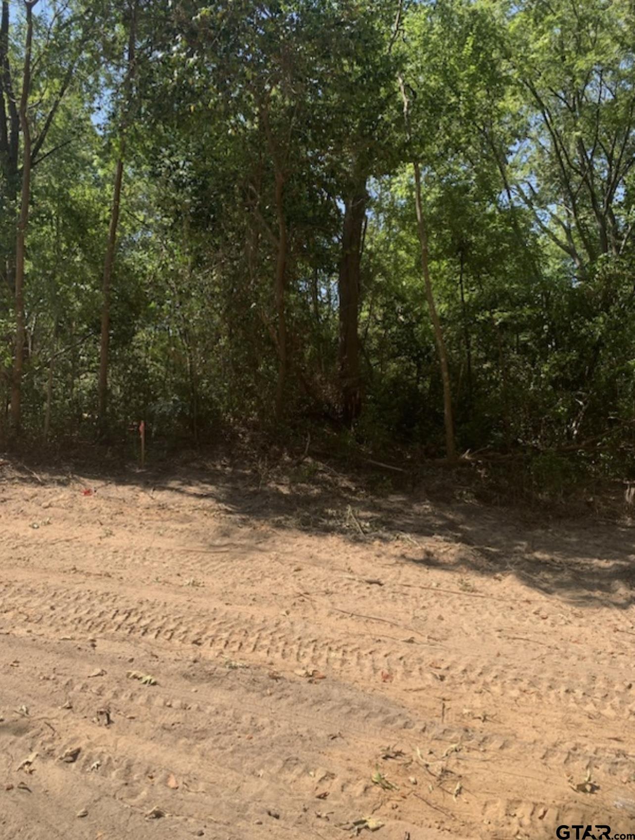 TBD Lot 4 Beverly, Overton, Texas image 9