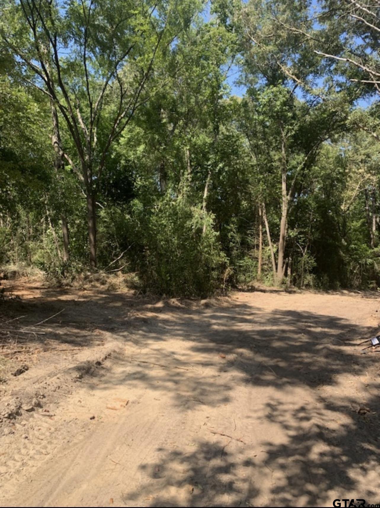 TBD Lot 4 Beverly, Overton, Texas image 10