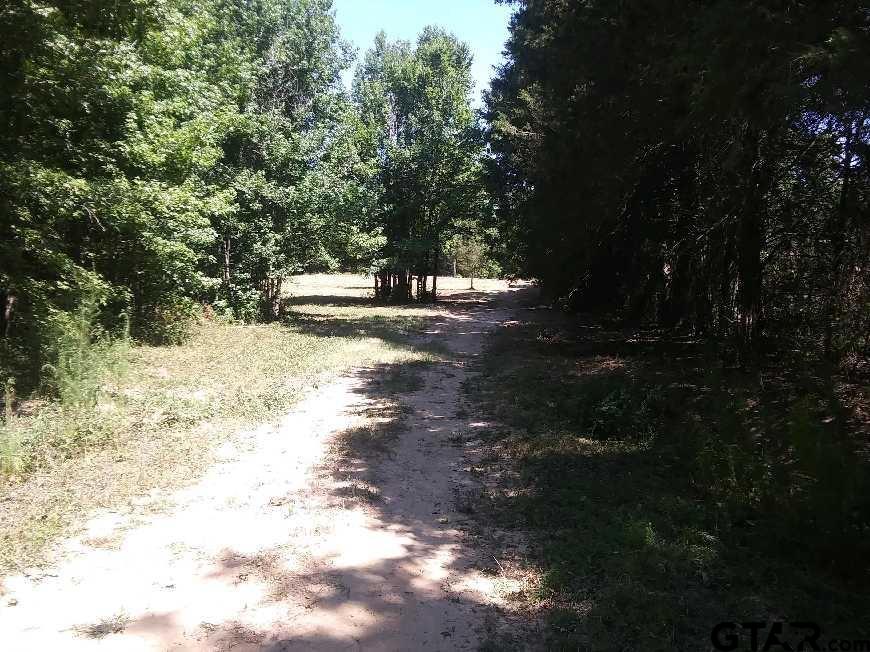 3500 County Road 4930, Quitman, Texas 75783, ,Rural Acreage,For Sale,County Road 4930,23009345