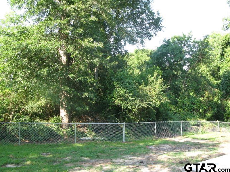 203 JORDAN, Grand Saline, Texas 75140, 4 Bedrooms Bedrooms, ,2 BathroomsBathrooms,Single Family Detached,For Sale,JORDAN,23009791