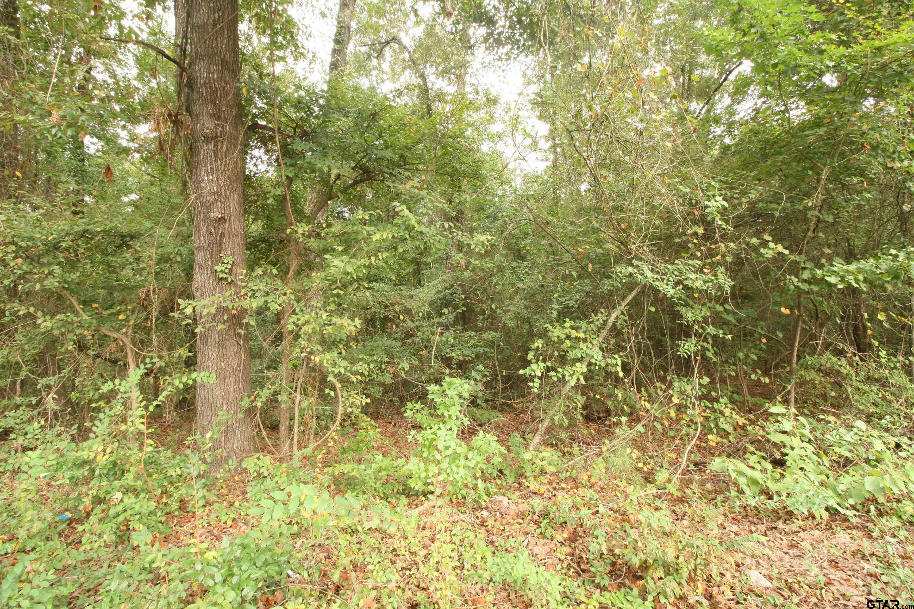 Lot 293 Eastwood Dr, Gilmer, Texas 75644, ,Residential,For Sale,Eastwood Dr,23010001