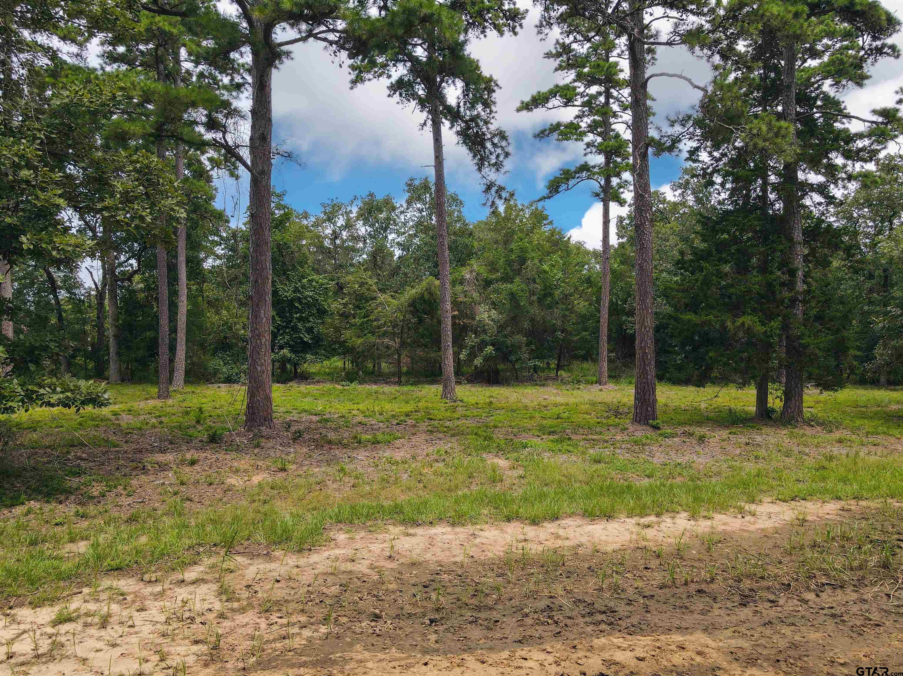TBD King Charles, Scroggins, Texas 75480, ,Residential,For Sale,King Charles,23010320