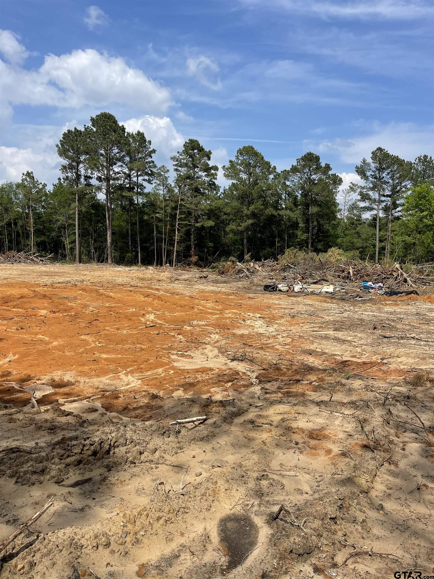 21505 HWY 69 S, Tyler, Texas 75703, ,Land,For Sale,HWY 69 S,23010505