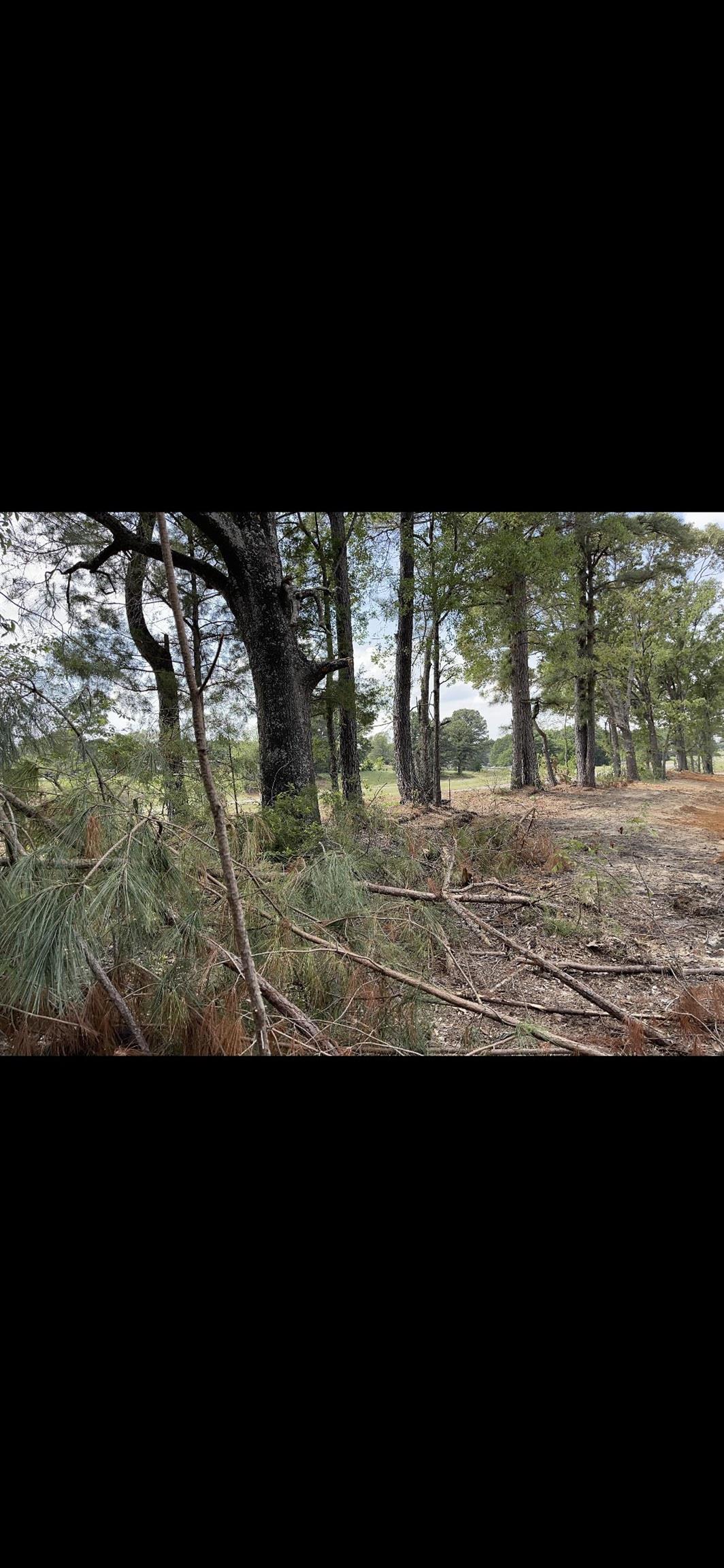 21505 HWY 69 S, Tyler, Texas 75703, ,Land,For Sale,HWY 69 S,23010505