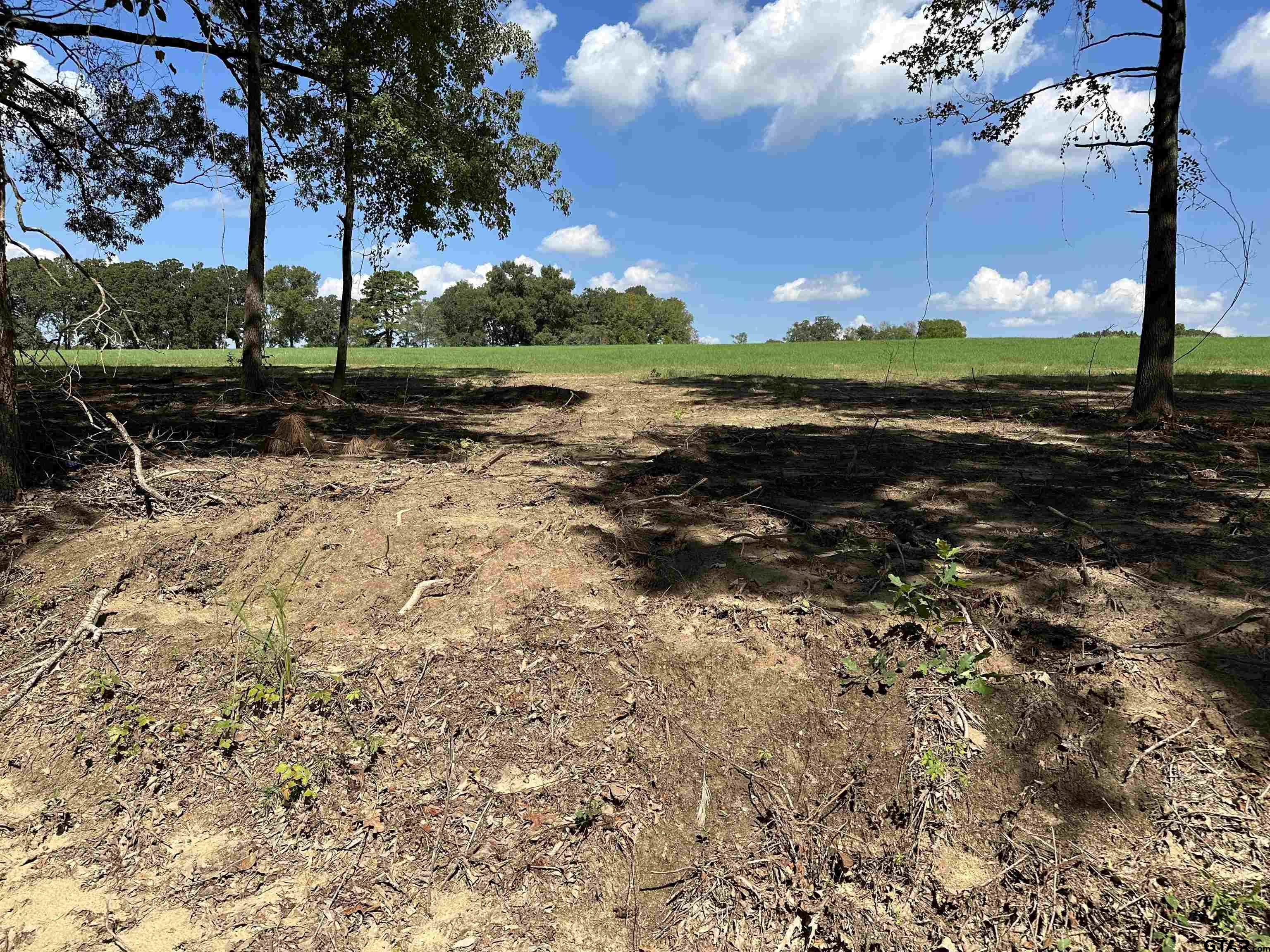 TBD LOT 8 COUNTY ROAD 409 D, Henderson, Texas 75654, ,Rural Acreage,For Sale,COUNTY ROAD 409 D,23013180
