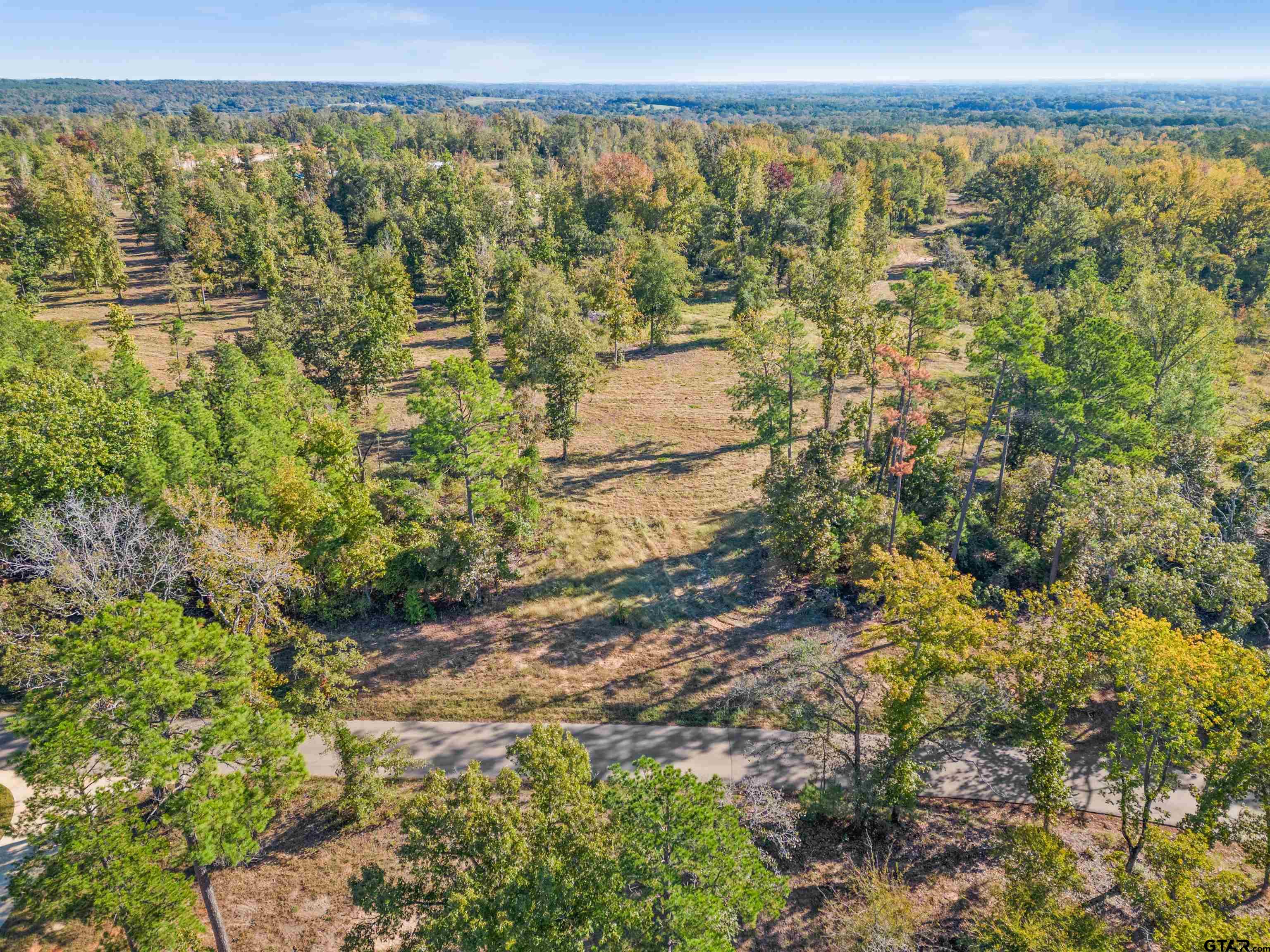 13170 County Road 2123, Whitehouse, Texas 75791, ,Rural Acreage,For Sale,County Road 2123,23015019