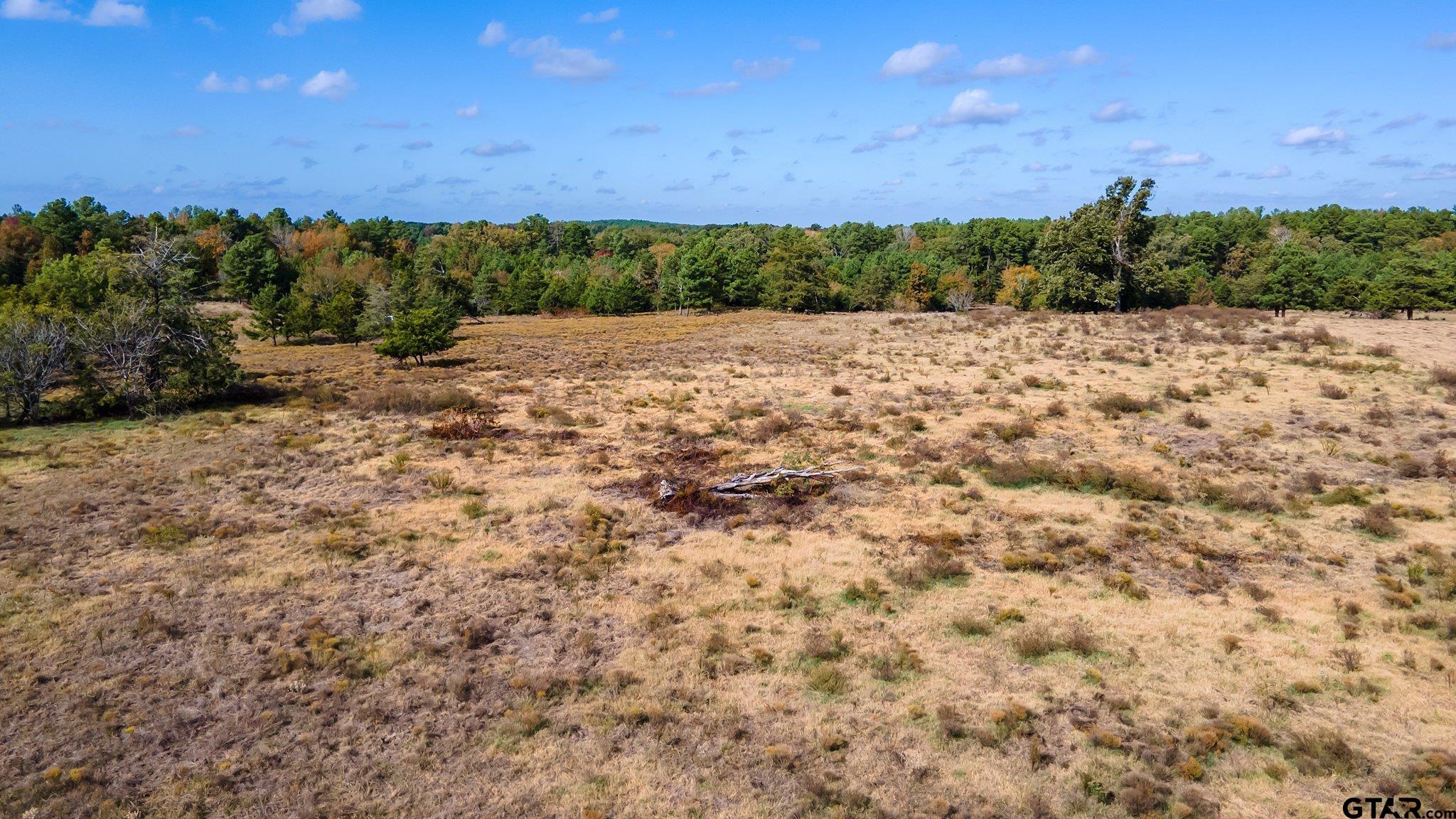010 County Road 26, Tyler, Texas 75705, ,Rural Acreage,For Sale,County Road 26,23015256