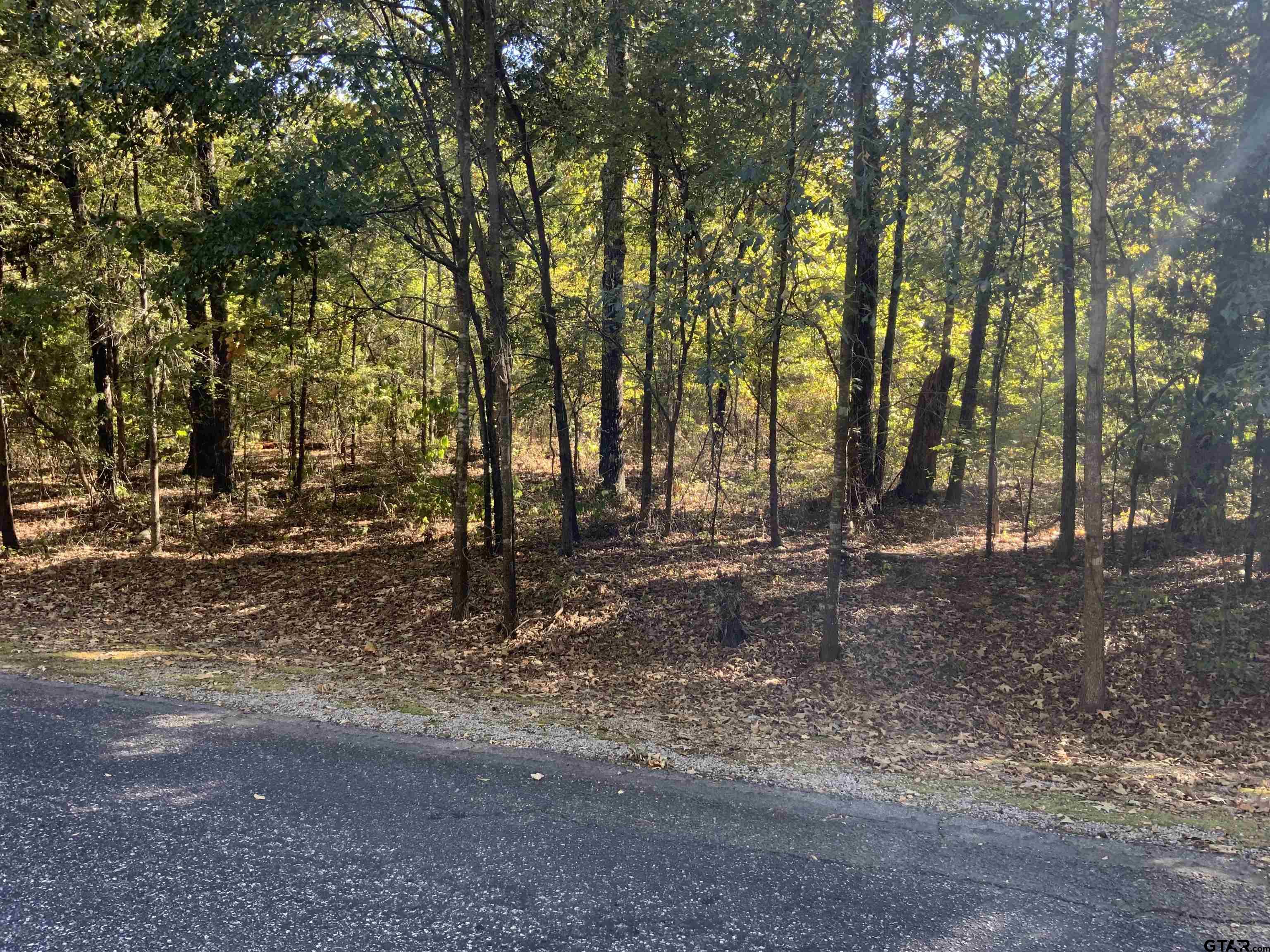 TBD LOT 49 50 Canadian Drive, Scroggins, Texas 75480, ,Residential,For Sale,Canadian Drive,23015794