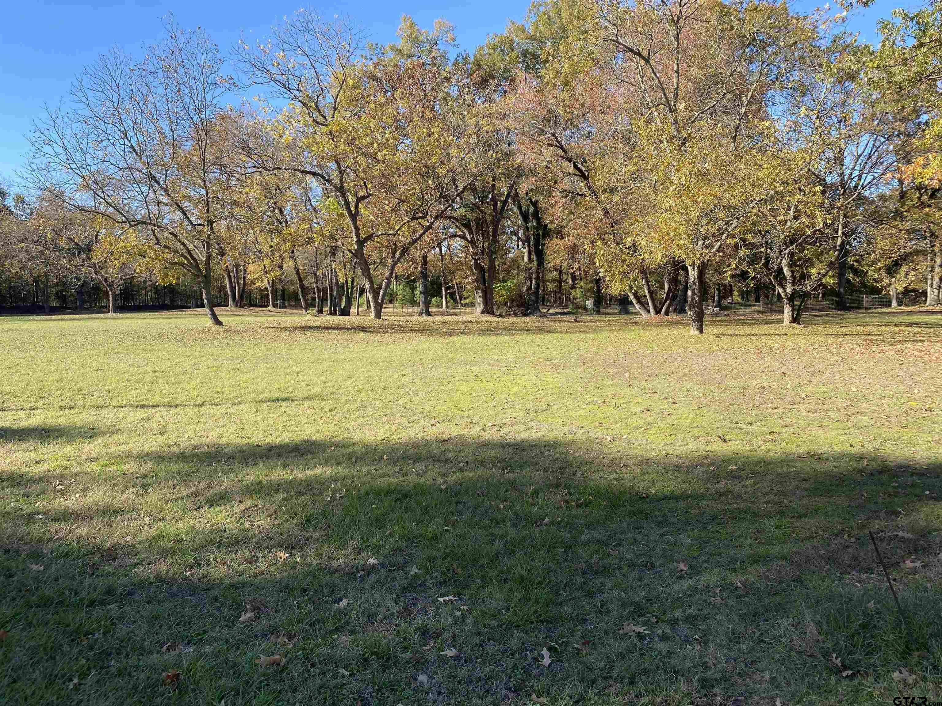 TBD CR 2321, Pittsburg, Texas 75686, ,Residential,For Sale,CR 2321,23016531