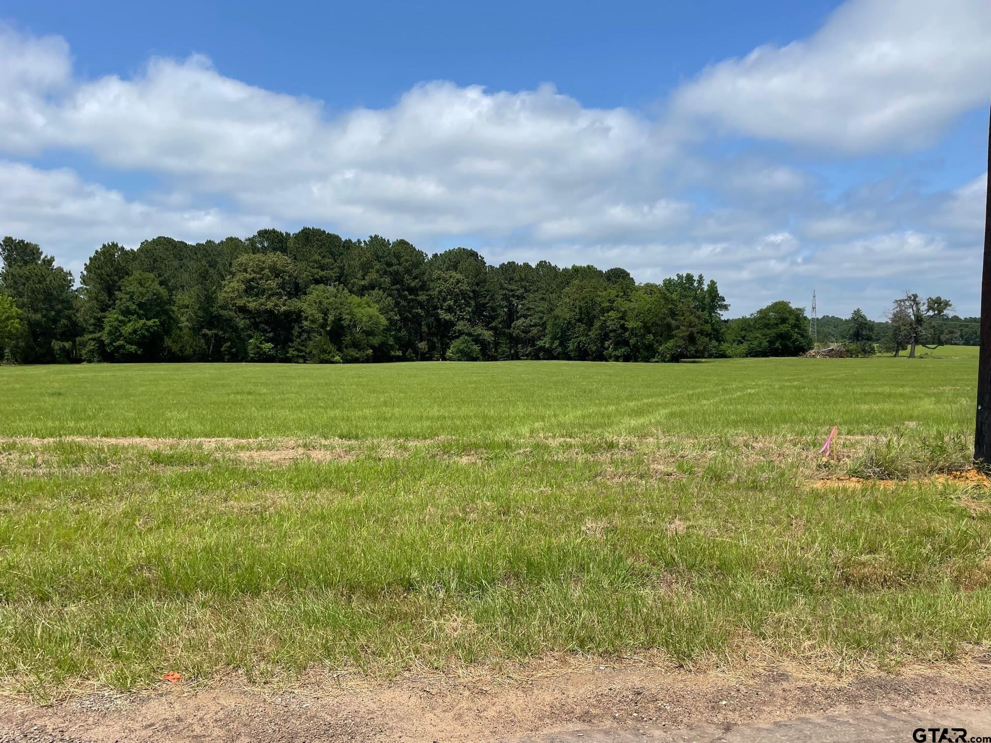 20333 CR 4126 Lot 5, Lindale, Texas 75771, ,Residential,For Sale,CR 4126 Lot 5,23016549
