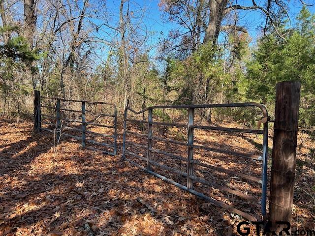 20991 CR 450, Lindale, Texas 75771, ,Rural Acreage,For Sale,CR 450,23016556