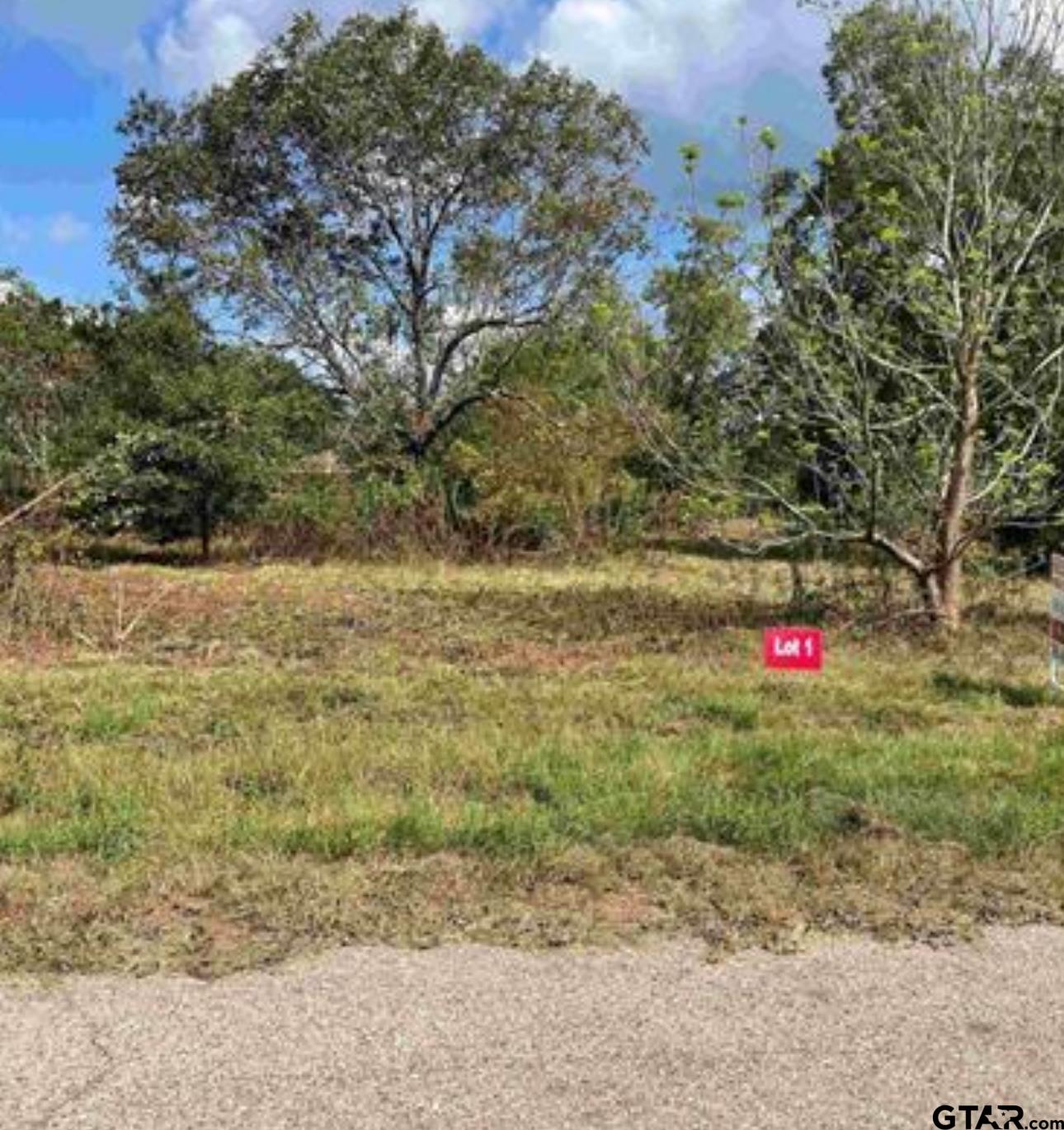 TBD Lot 1 Cr 2204 D & Fm 1797, Tatum, Texas image 1