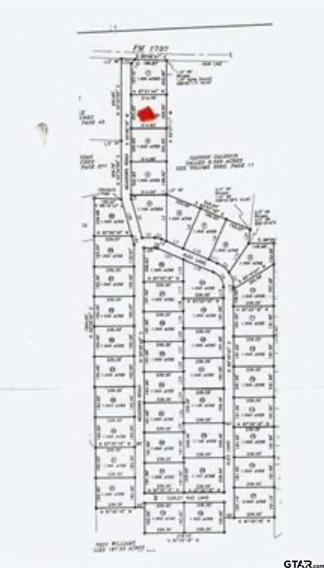 TBD LOT 2 Cr 2204 D & Fm 1797, Tatum, Texas image 2