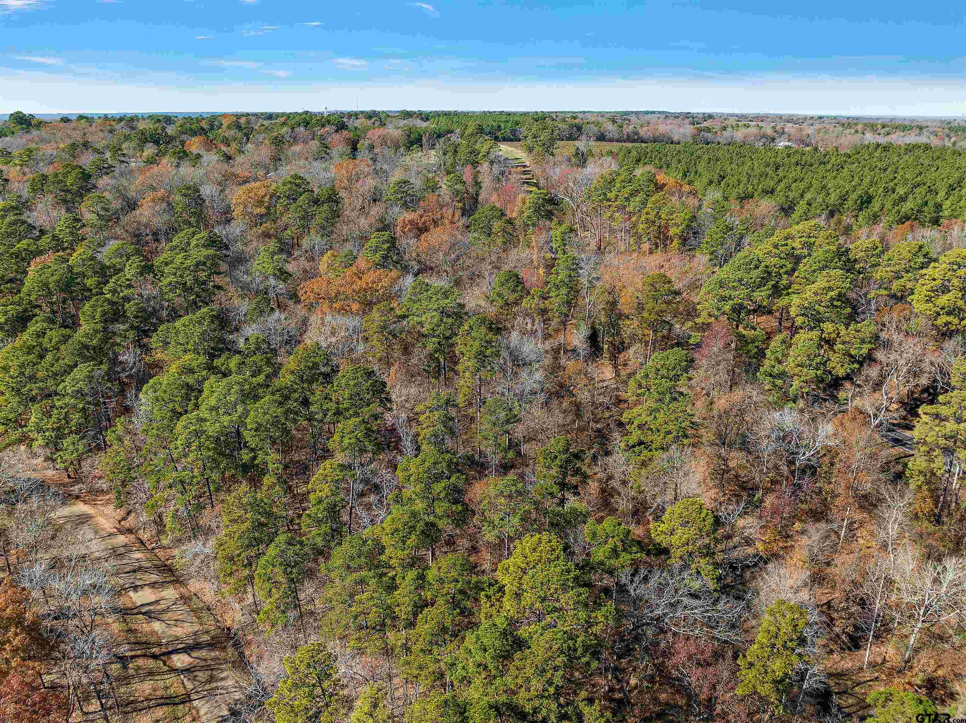 Tract 1 Hwy 84, Rusk, Texas 75785, ,Rural Acreage,For Sale,Hwy 84,24000734
