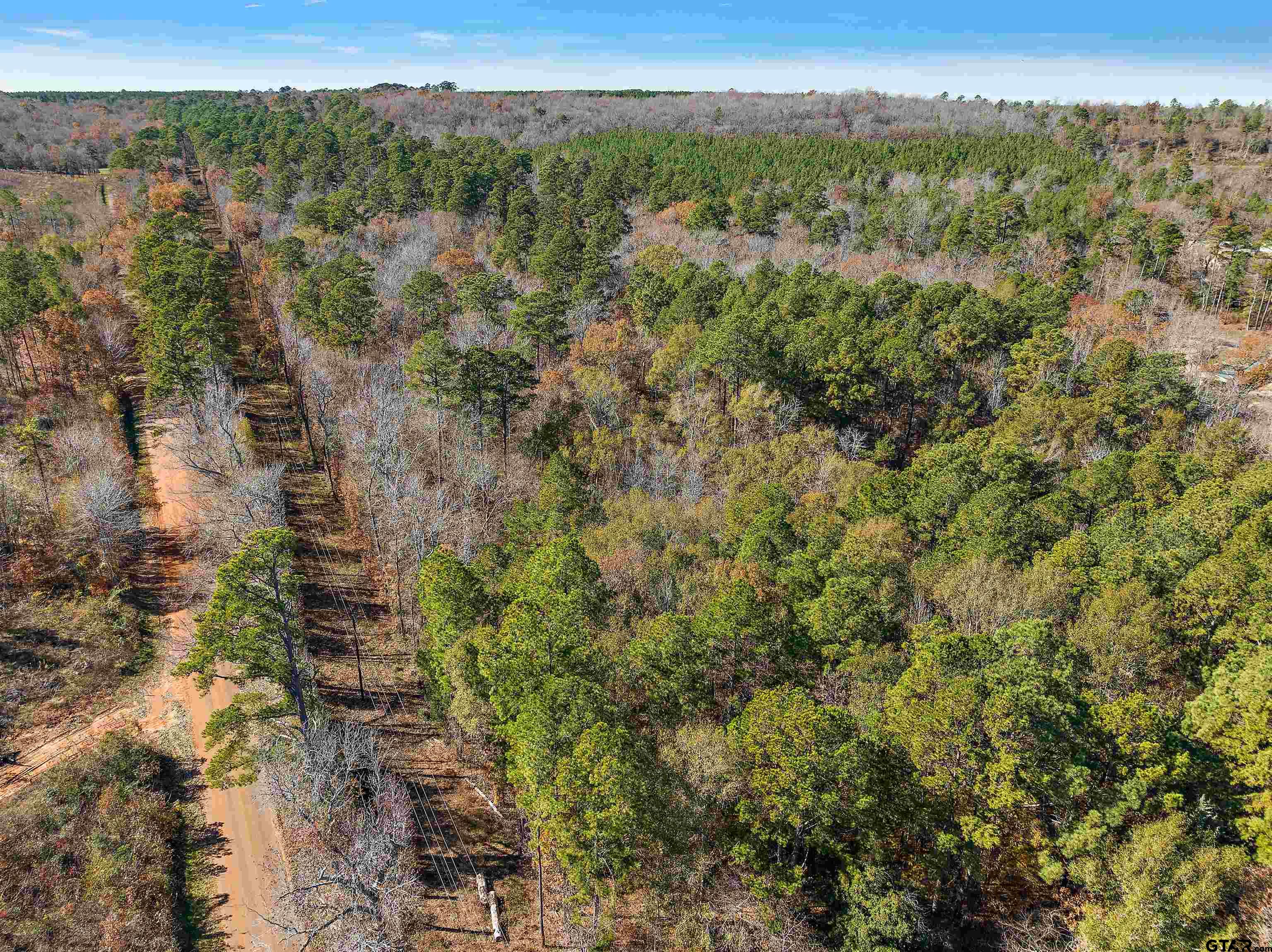 Tract 1 Hwy 84, Rusk, Texas 75785, ,Rural Acreage,For Sale,Hwy 84,24000734
