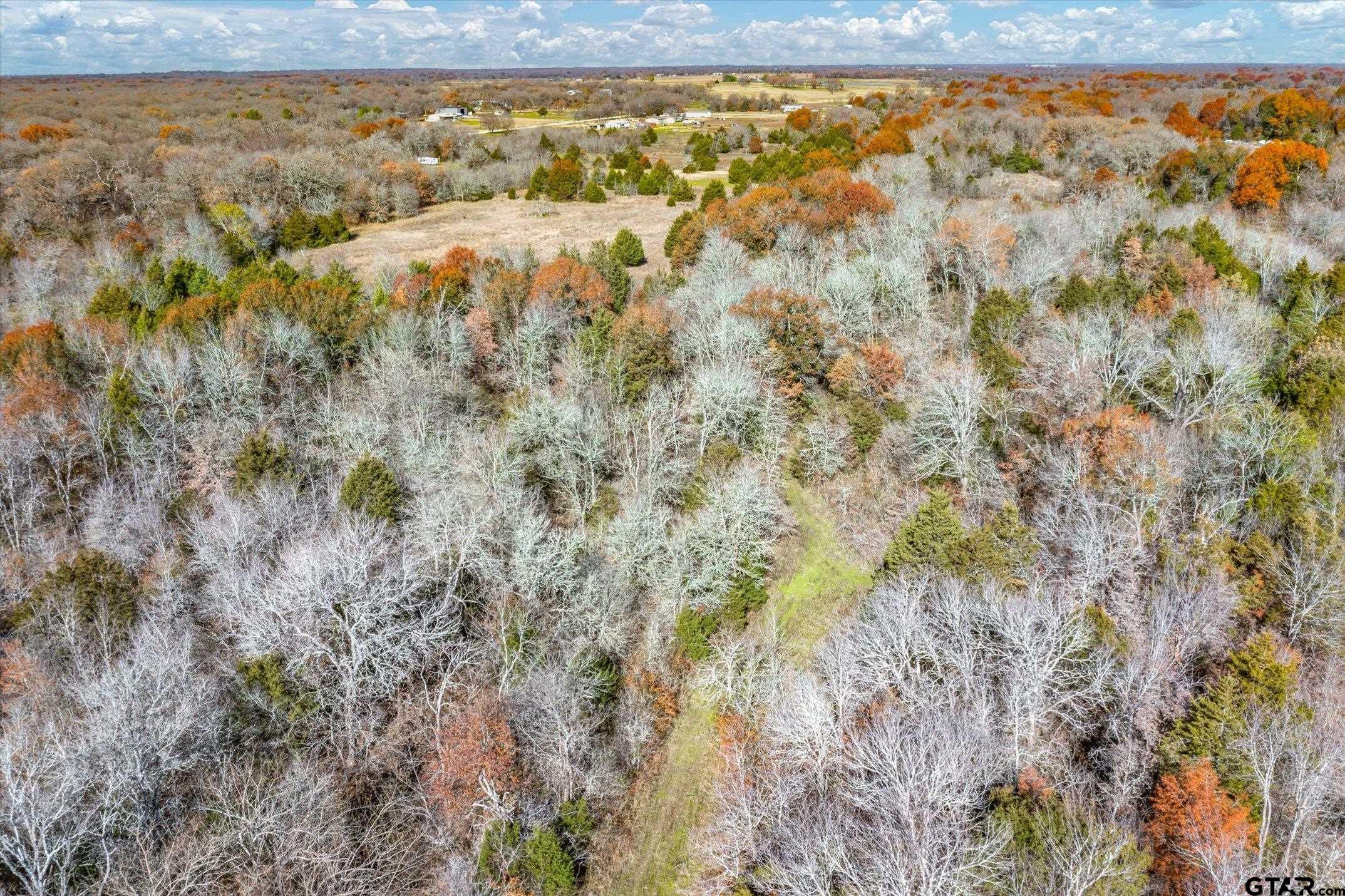 000 Hickory Tree Lane, Wills Point, Texas 75169, ,Rural Acreage,For Sale,Hickory Tree Lane,24000885