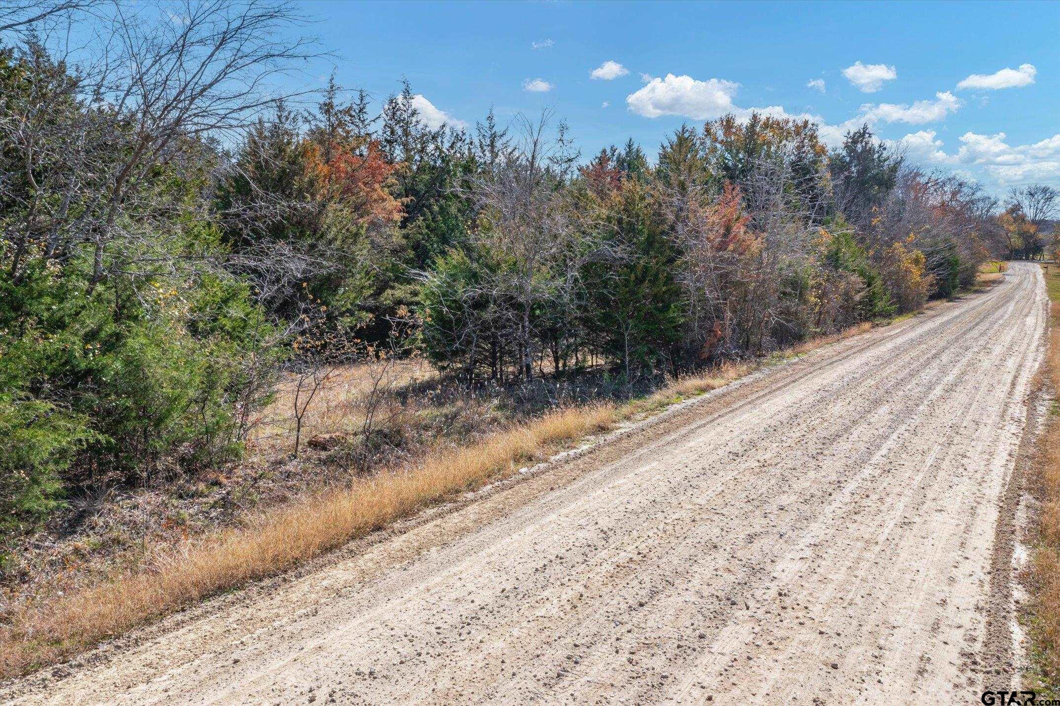 000 Hickory Tree Lane, Wills Point, Texas 75169, ,Rural Acreage,For Sale,Hickory Tree Lane,24000885
