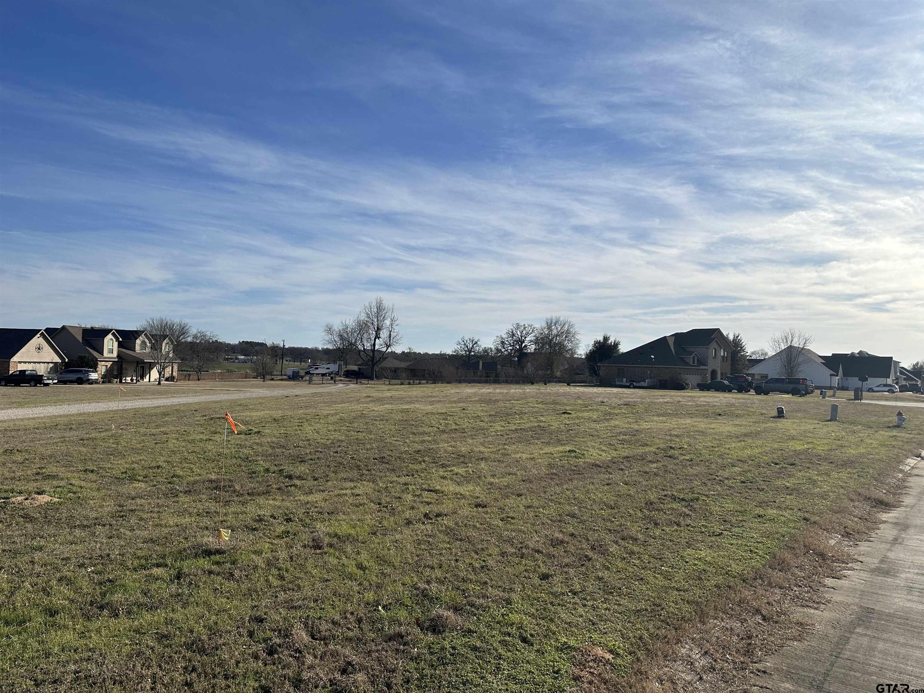 TBD Meadowview, Canton, Texas 75103, ,Residential,For Sale,Meadowview,24000925