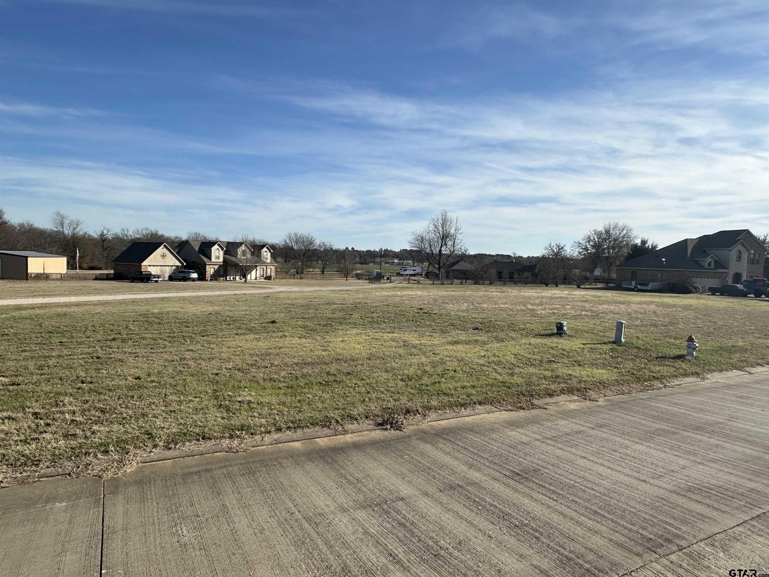 TBD Meadowview, Canton, Texas 75103, ,Residential,For Sale,Meadowview,24000925