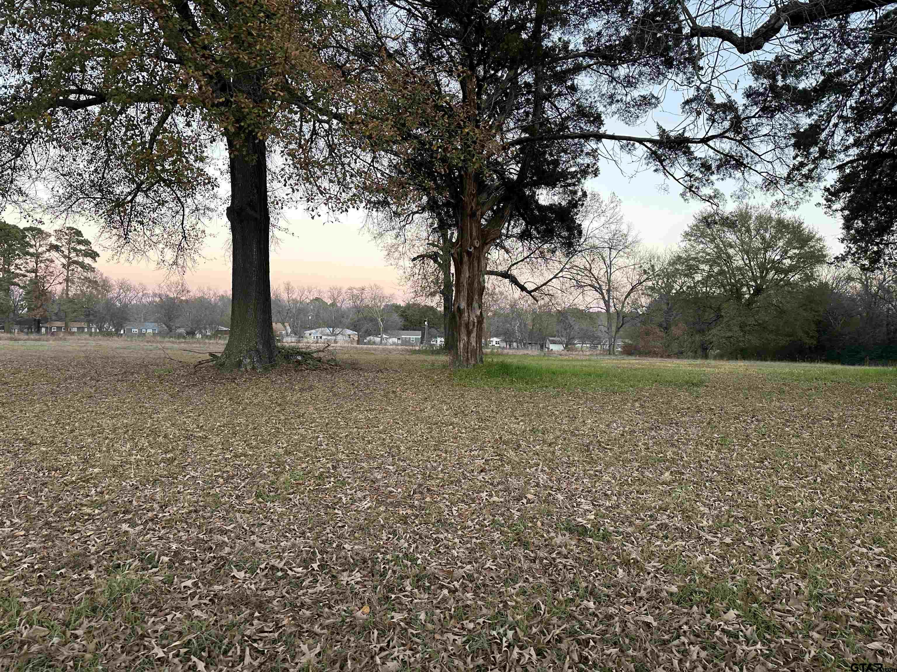xxx Hill Ave, Pittsburg, Texas 75686, ,Rural Acreage,For Sale,Hill Ave,24000978