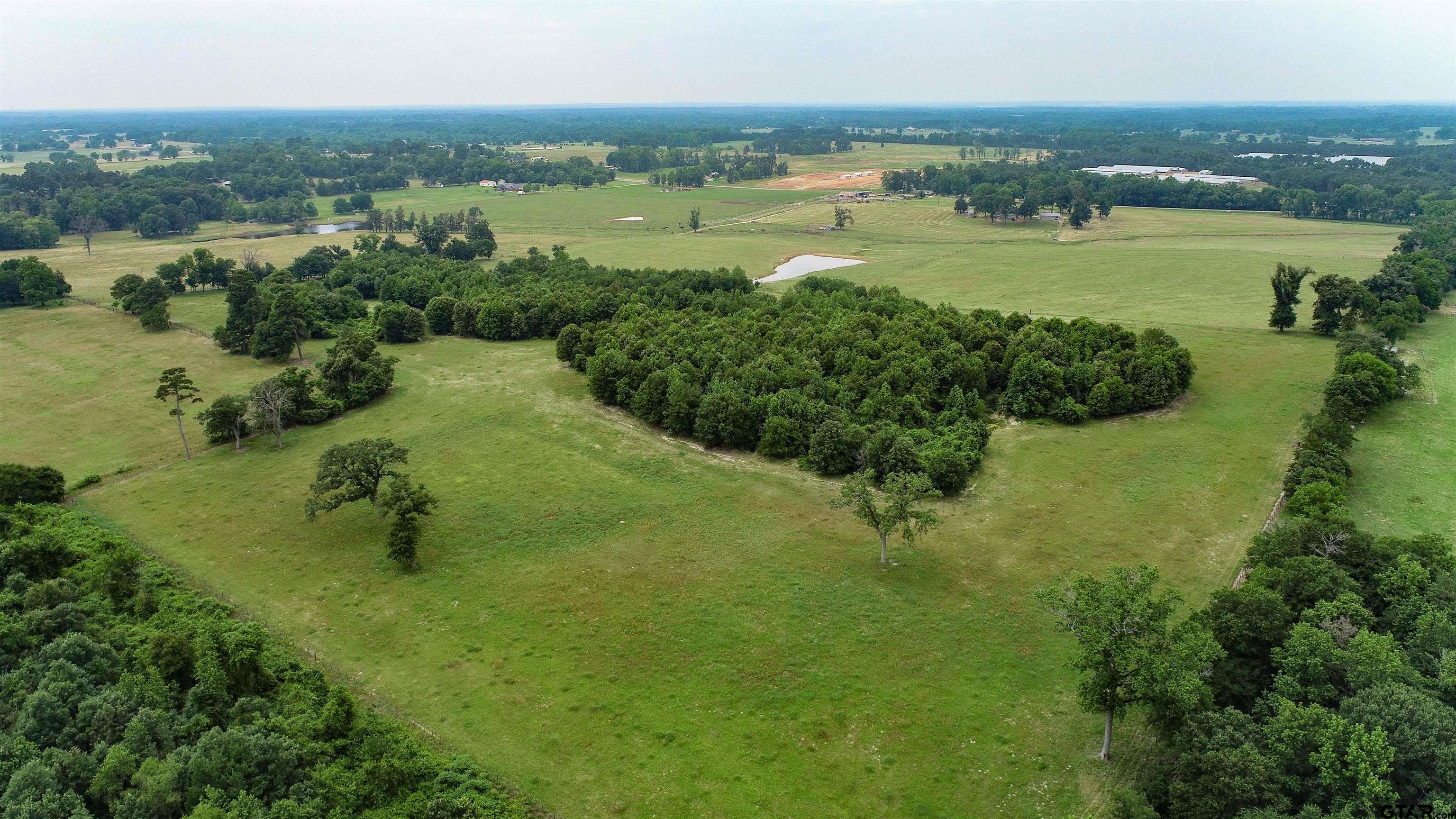 00 County Road 3042, Pittsburg, Texas 75686, ,Rural Acreage,For Sale,County Road 3042,24001987