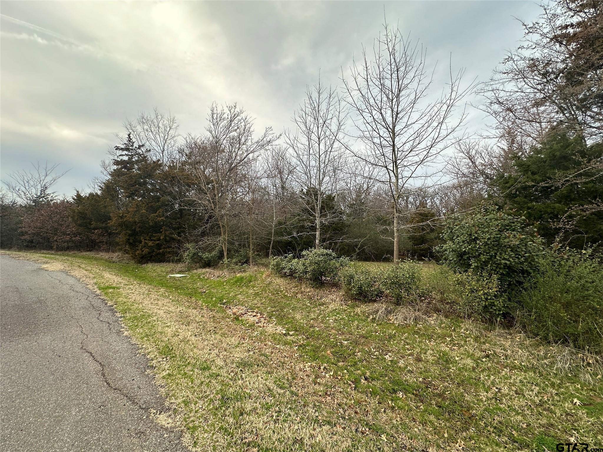 1 Acre High Point Circle, Sulphur Springs, Texas image 12