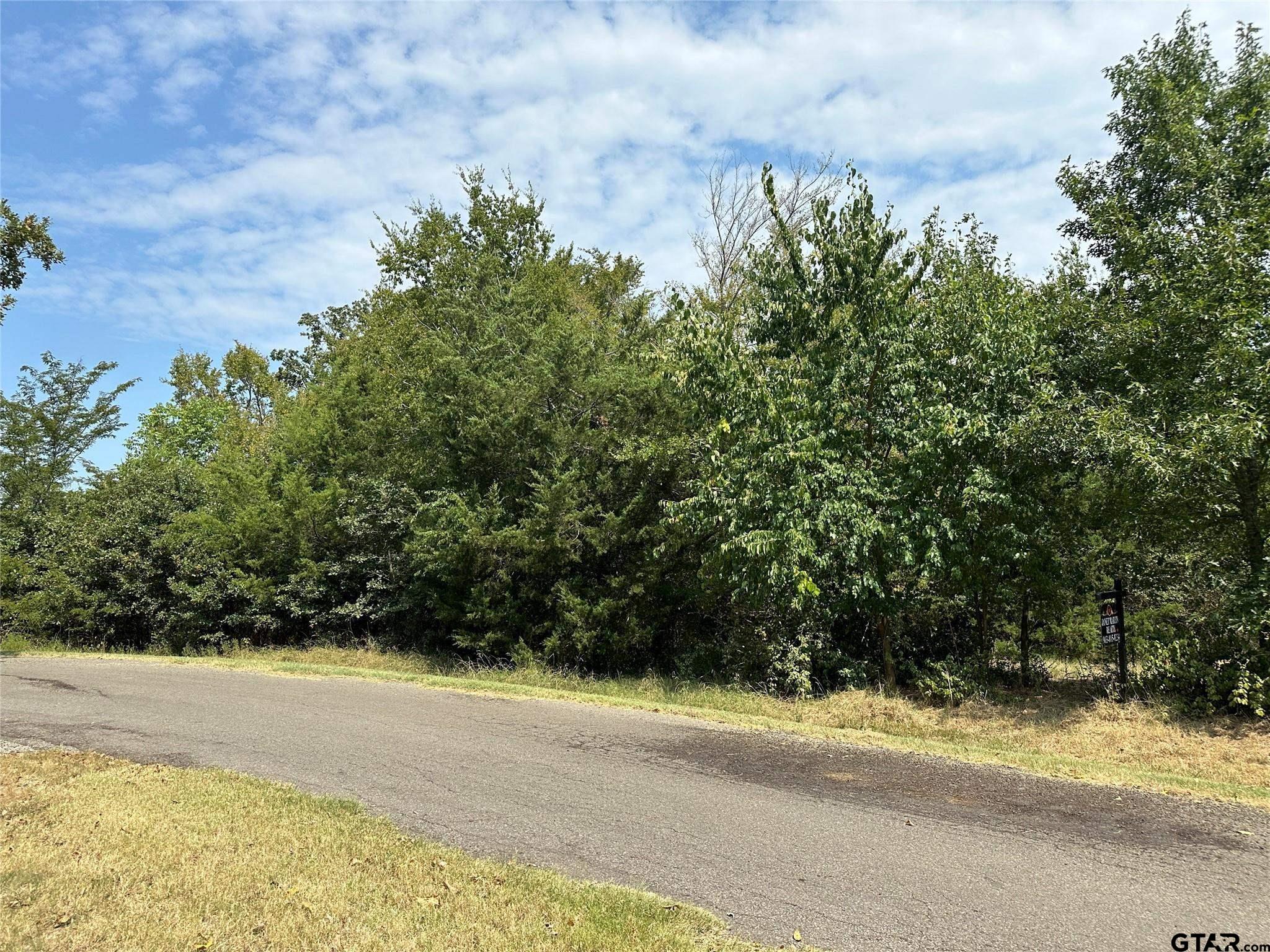 1 Acre High Point Circle, Sulphur Springs, Texas image 13