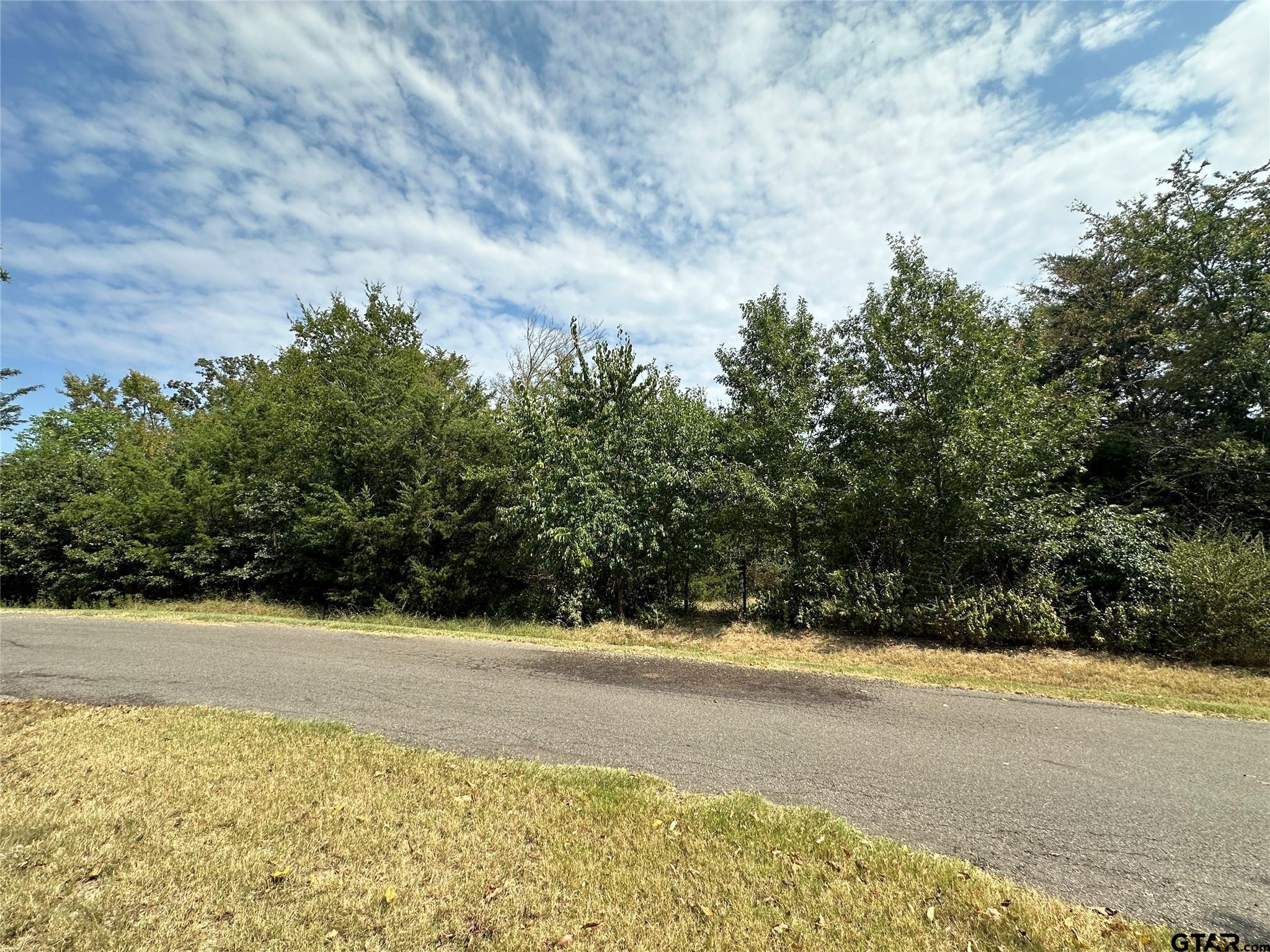 1 Acre High Point Circle, Sulphur Springs, Texas image 14