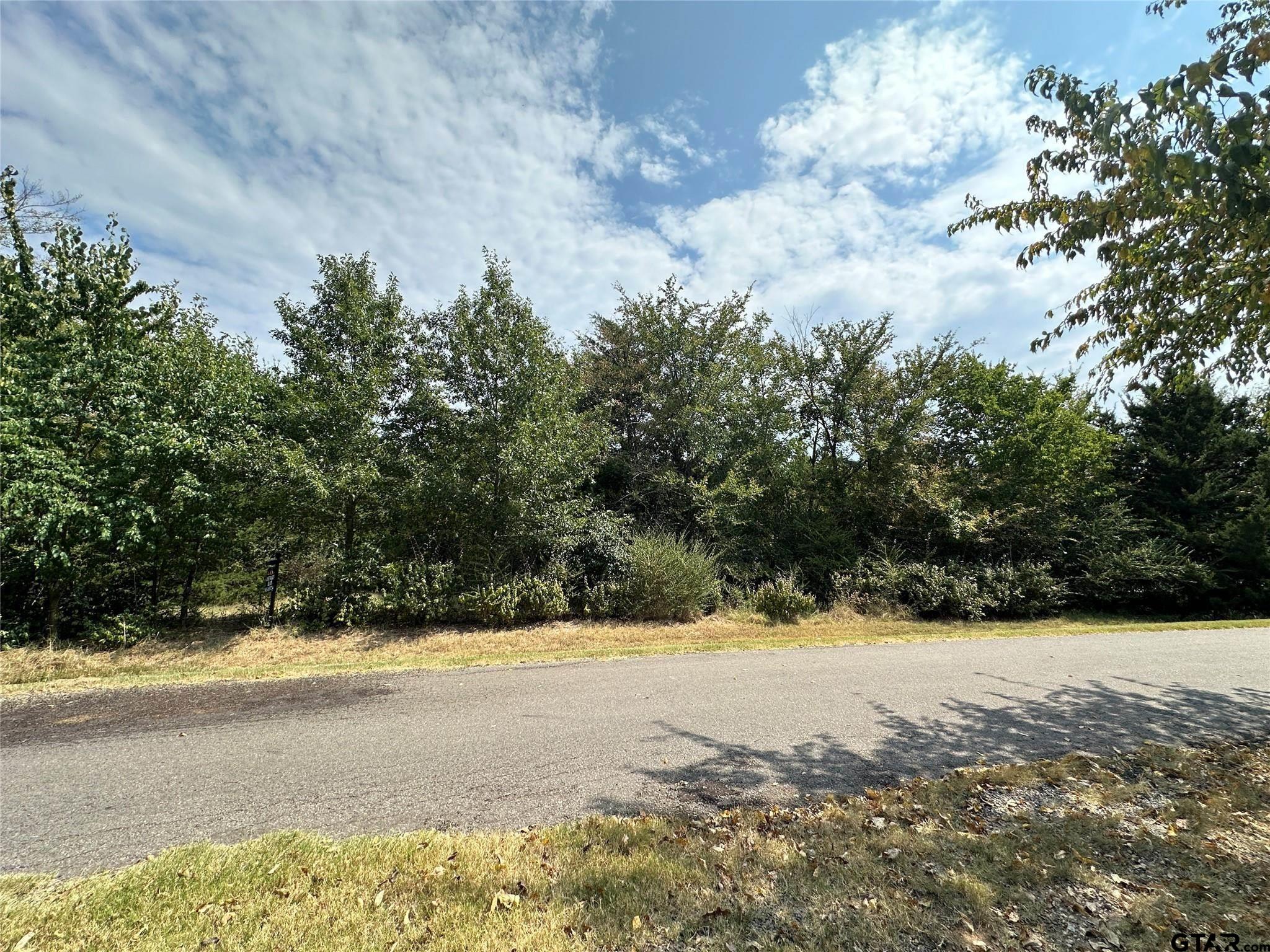 1 Acre High Point Circle, Sulphur Springs, Texas image 15