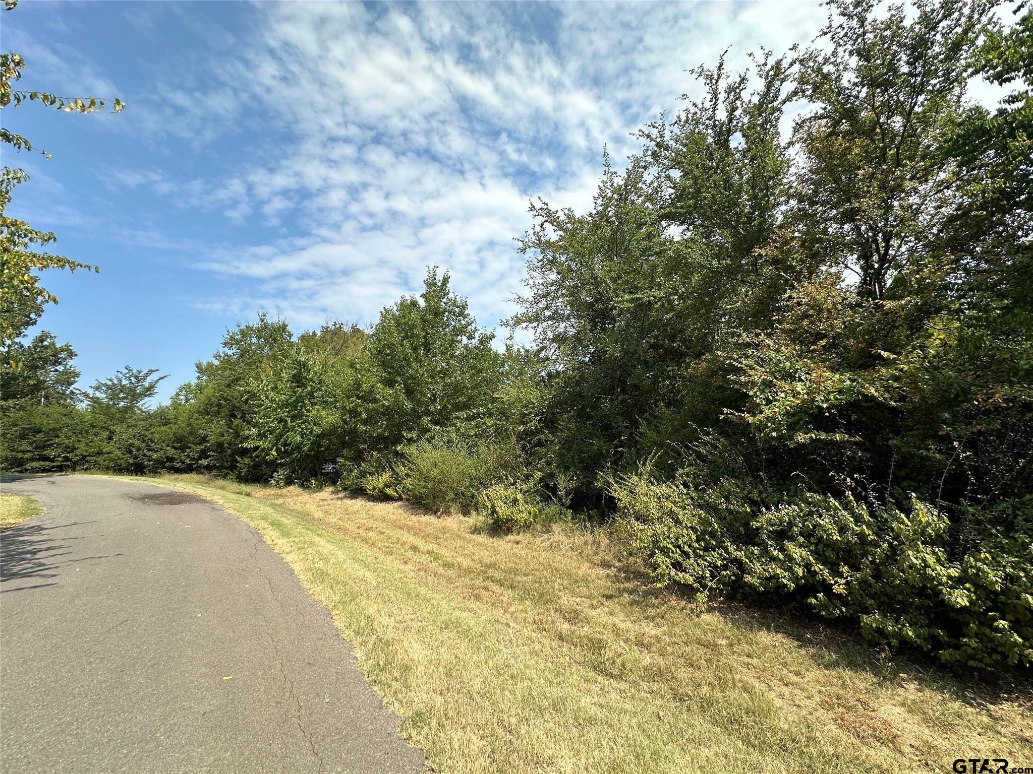 1 Acre High Point Circle, Sulphur Springs, Texas image 5