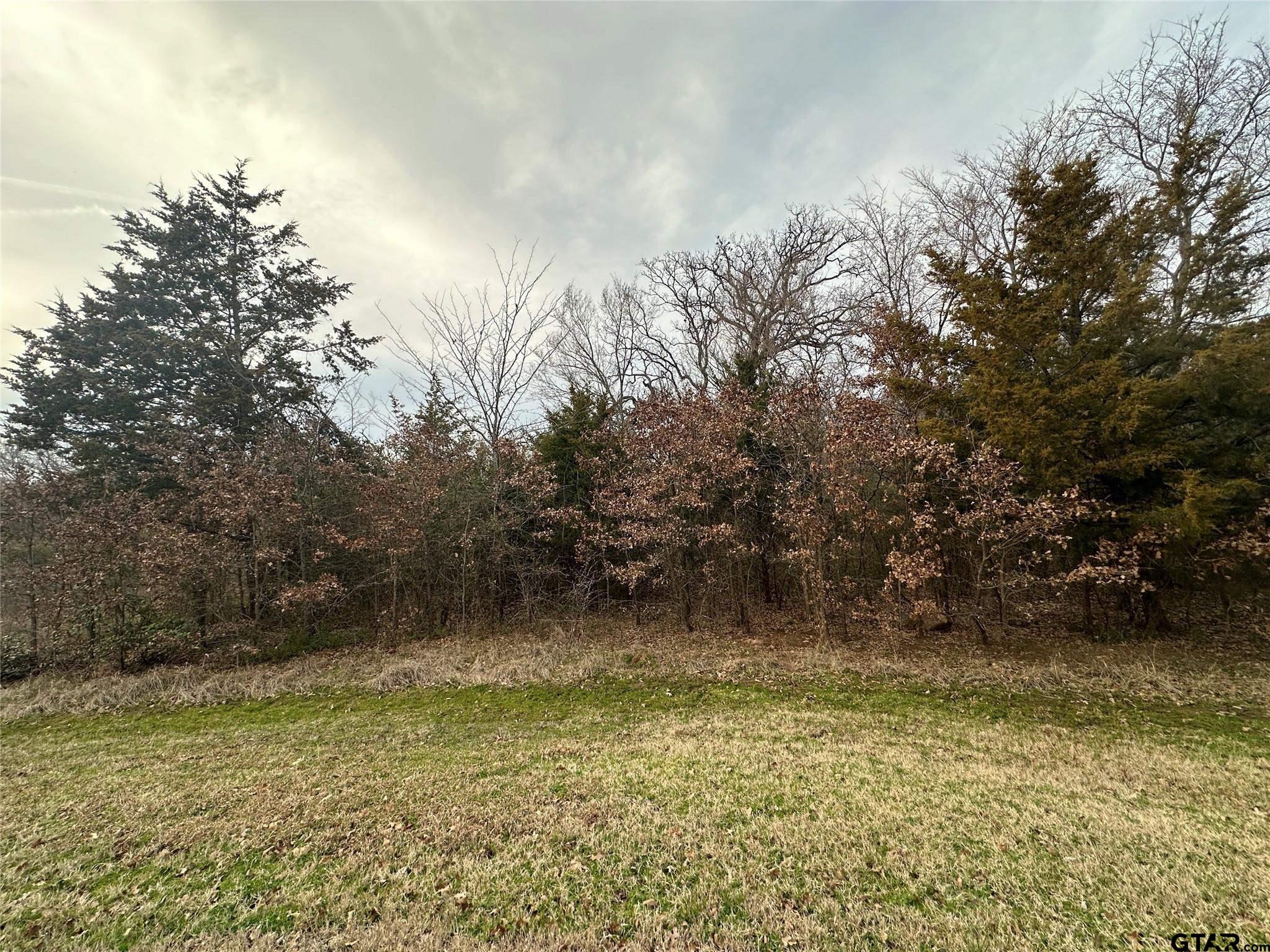 1 Acre High Point Circle, Sulphur Springs, Texas image 6