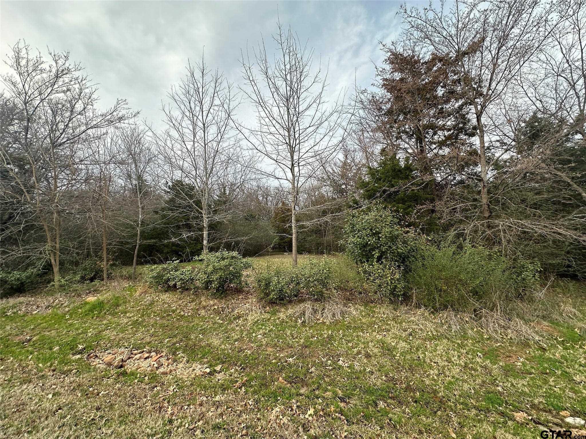 1 Acre High Point Circle, Sulphur Springs, Texas image 7