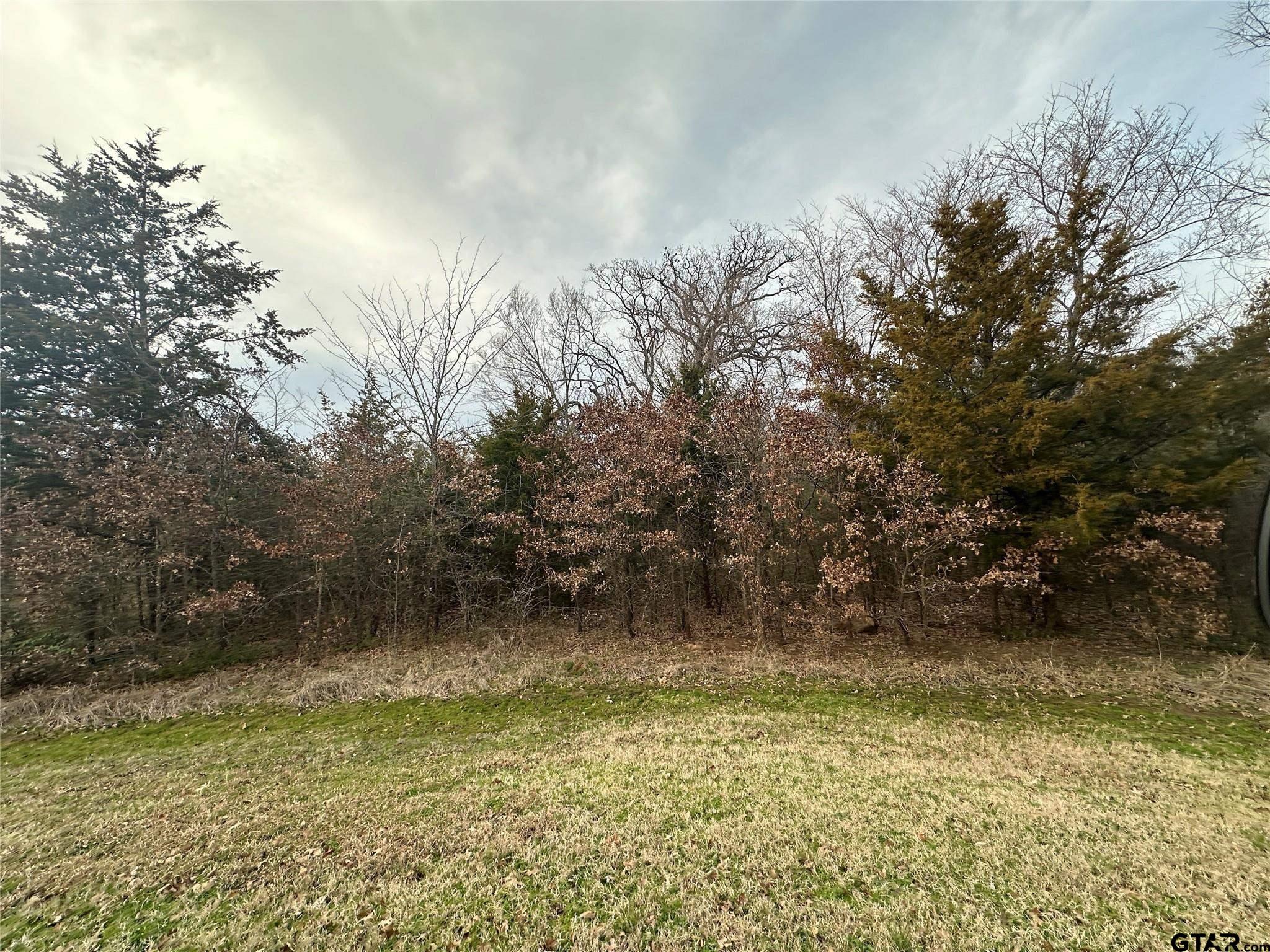 1 Acre High Point Circle, Sulphur Springs, Texas image 8